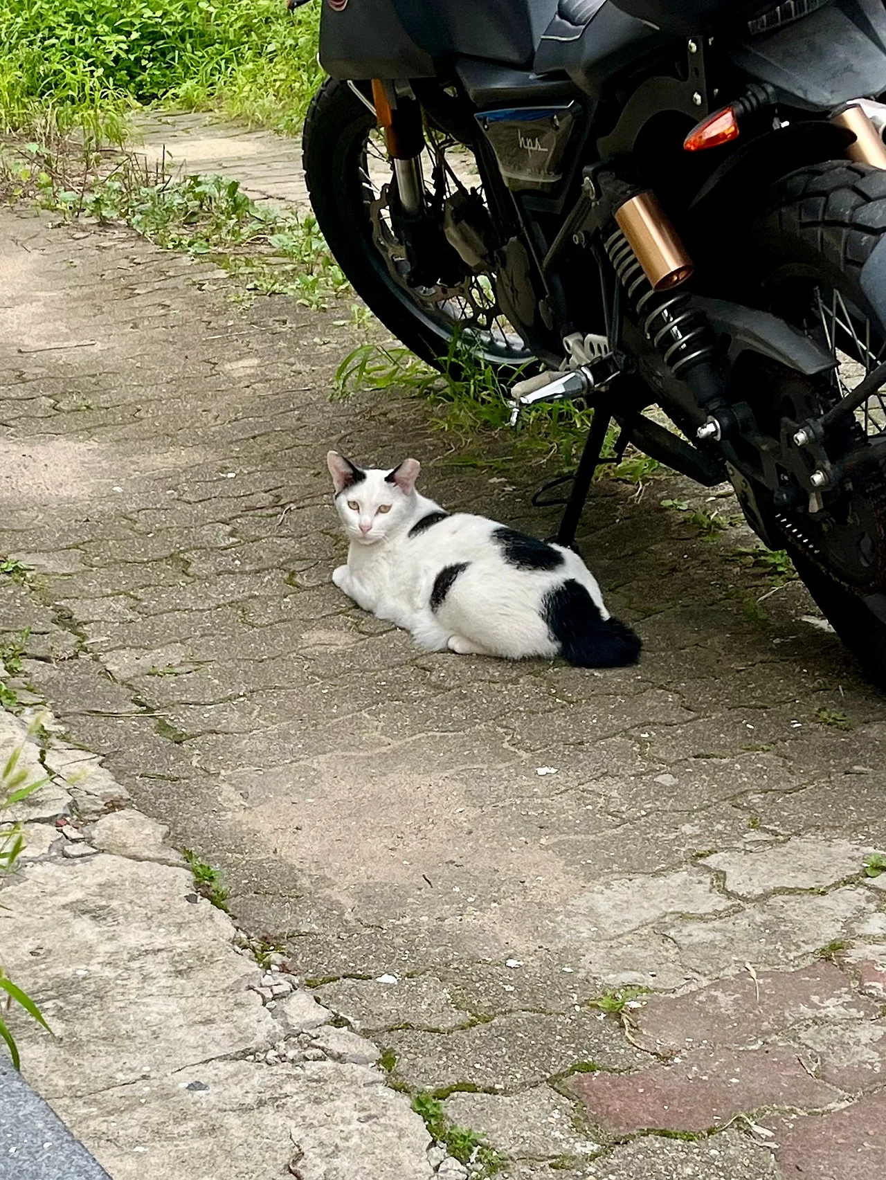 IMG%EF%BC%BF1109.jpg?type=w1600