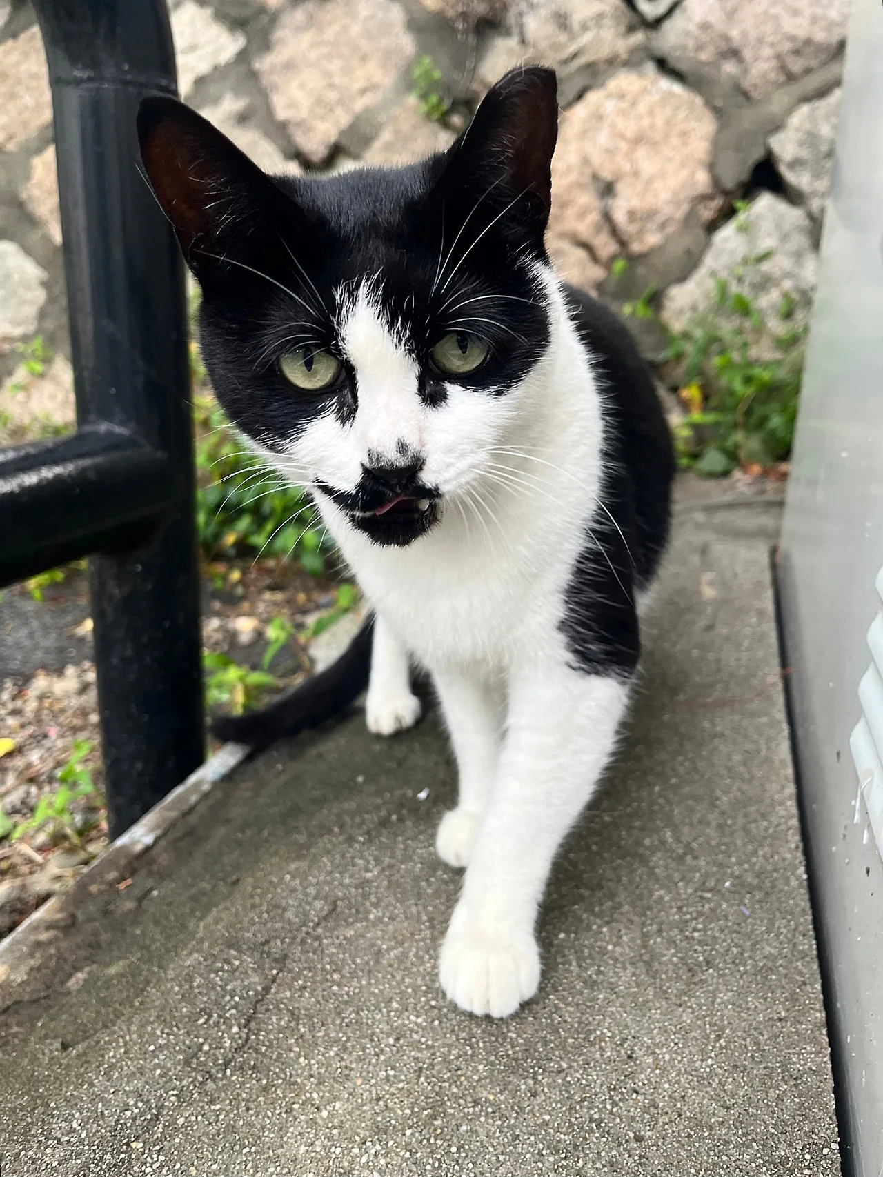 IMG%EF%BC%BF1648.jpg?type=w1600