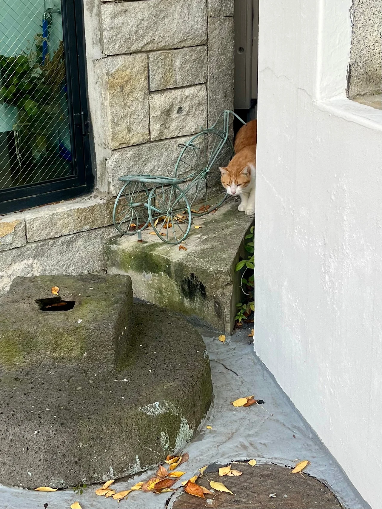 IMG%EF%BC%BF4570.jpg?type=w1600