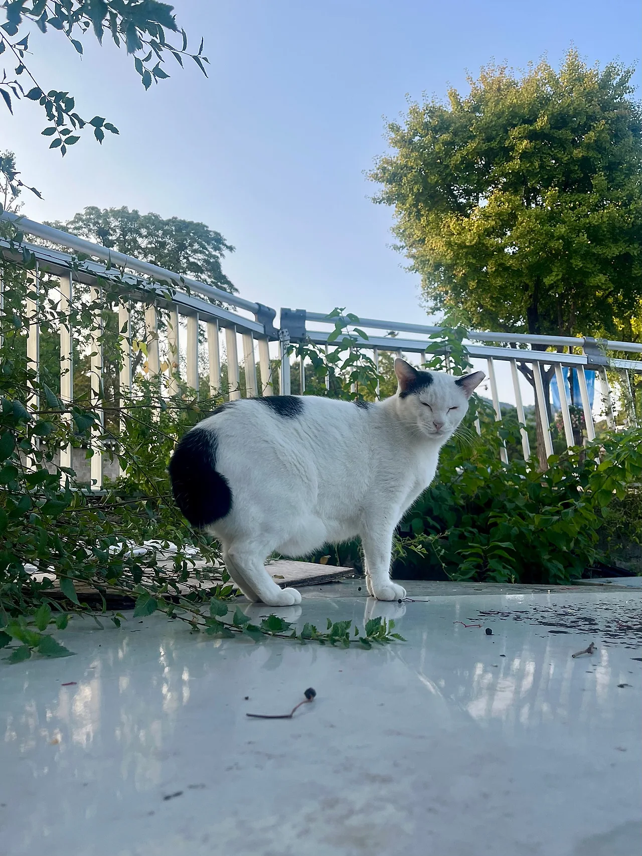 IMG%EF%BC%BF2336.jpg?type=w1600