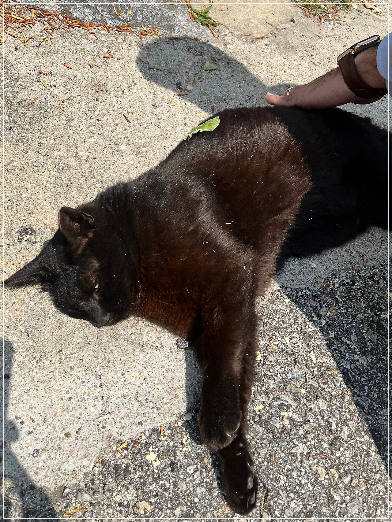 IMG_3579.jpg?type=w1600