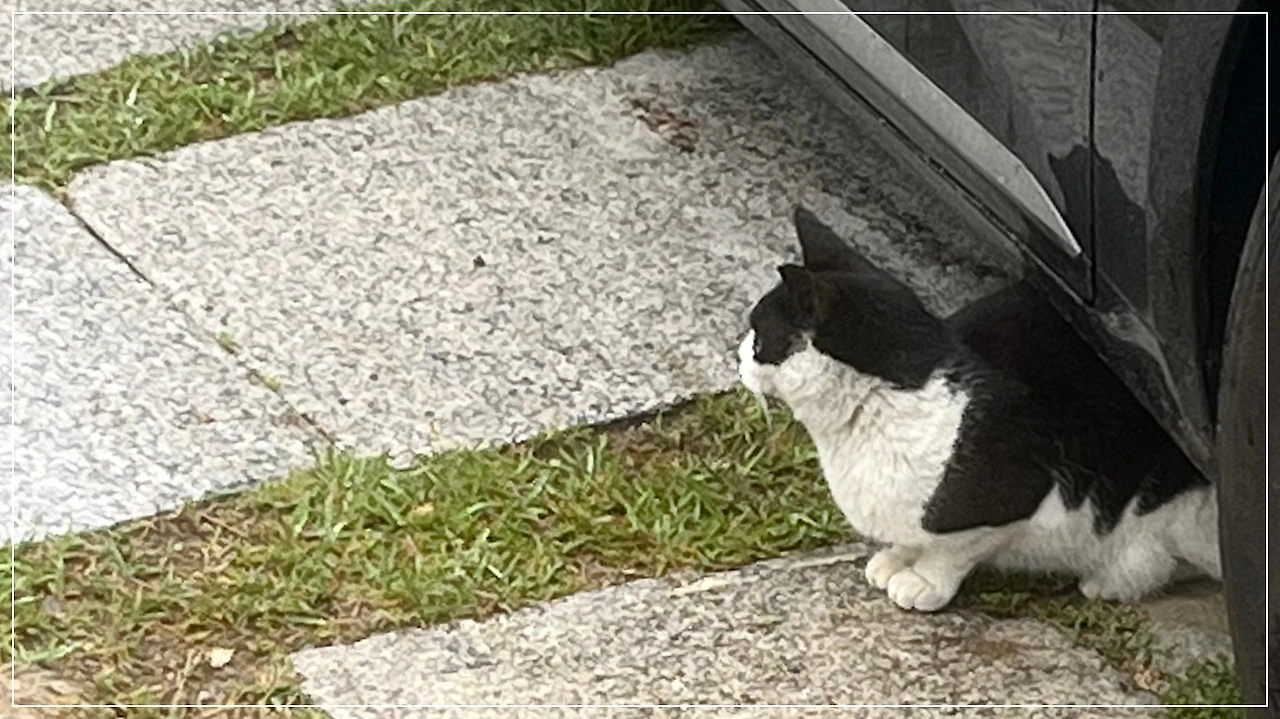 IMG_4144.jpg?type=w1600