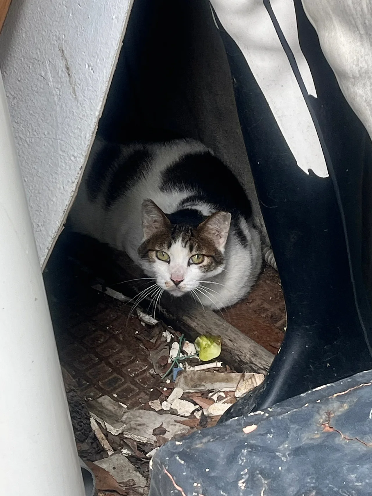 IMG%EF%BC%BF9894.jpg?type=w1600