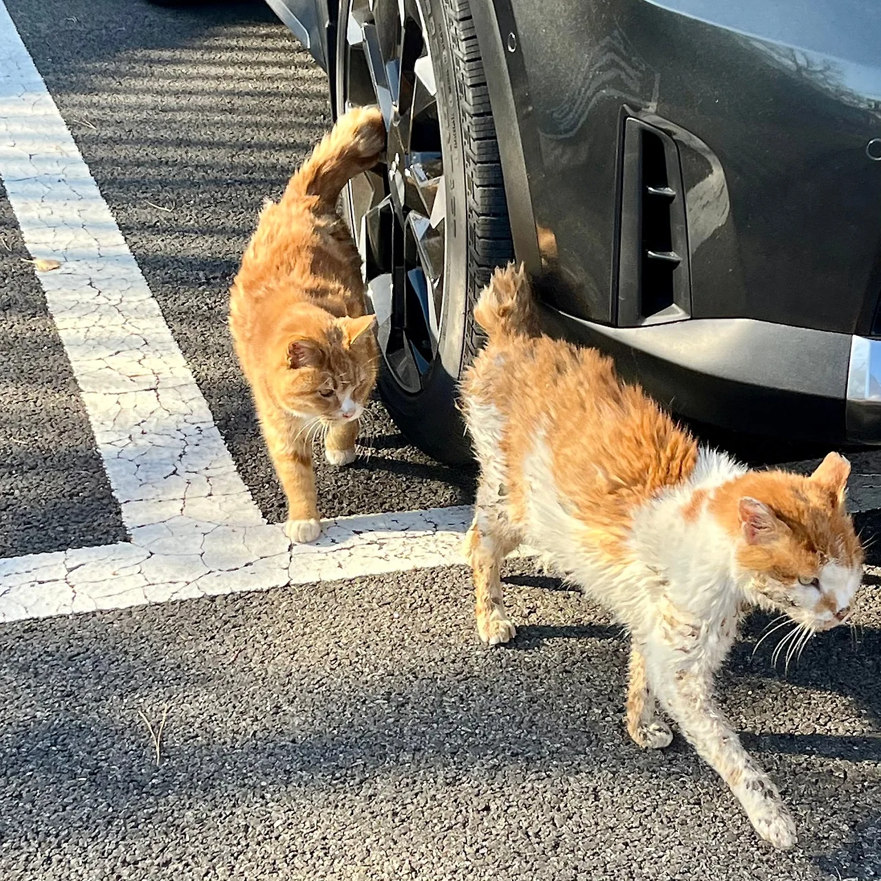 IMG%EF%BC%BF0022.jpg?type=w1600