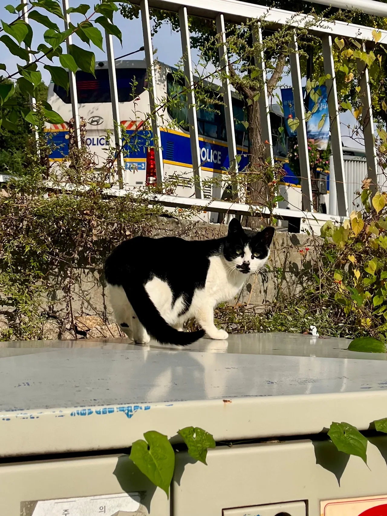 IMG%EF%BC%BF3446.jpg?type=w1600