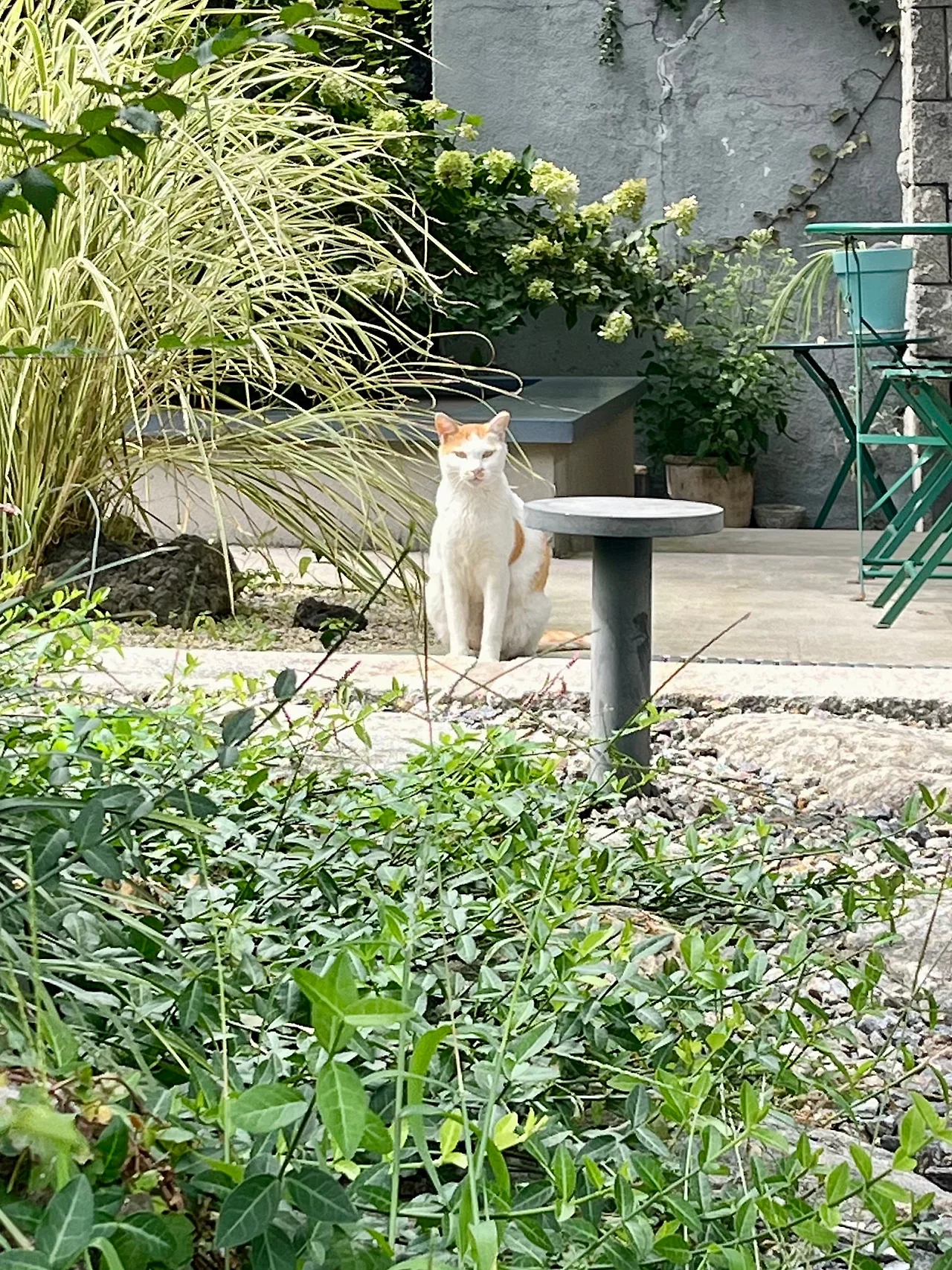 IMG%EF%BC%BF1910.jpg?type=w1600