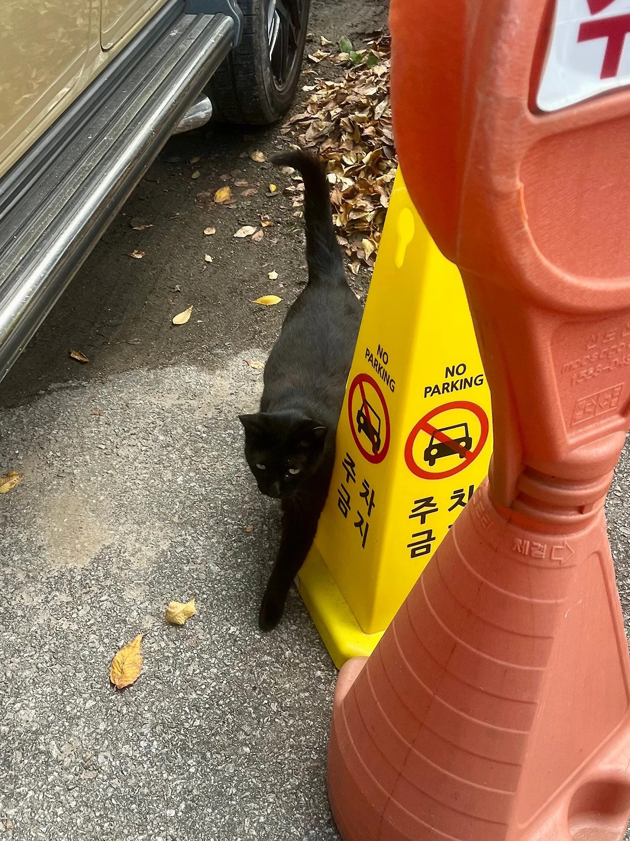 IMG%EF%BC%BF3329.jpg?type=w1600