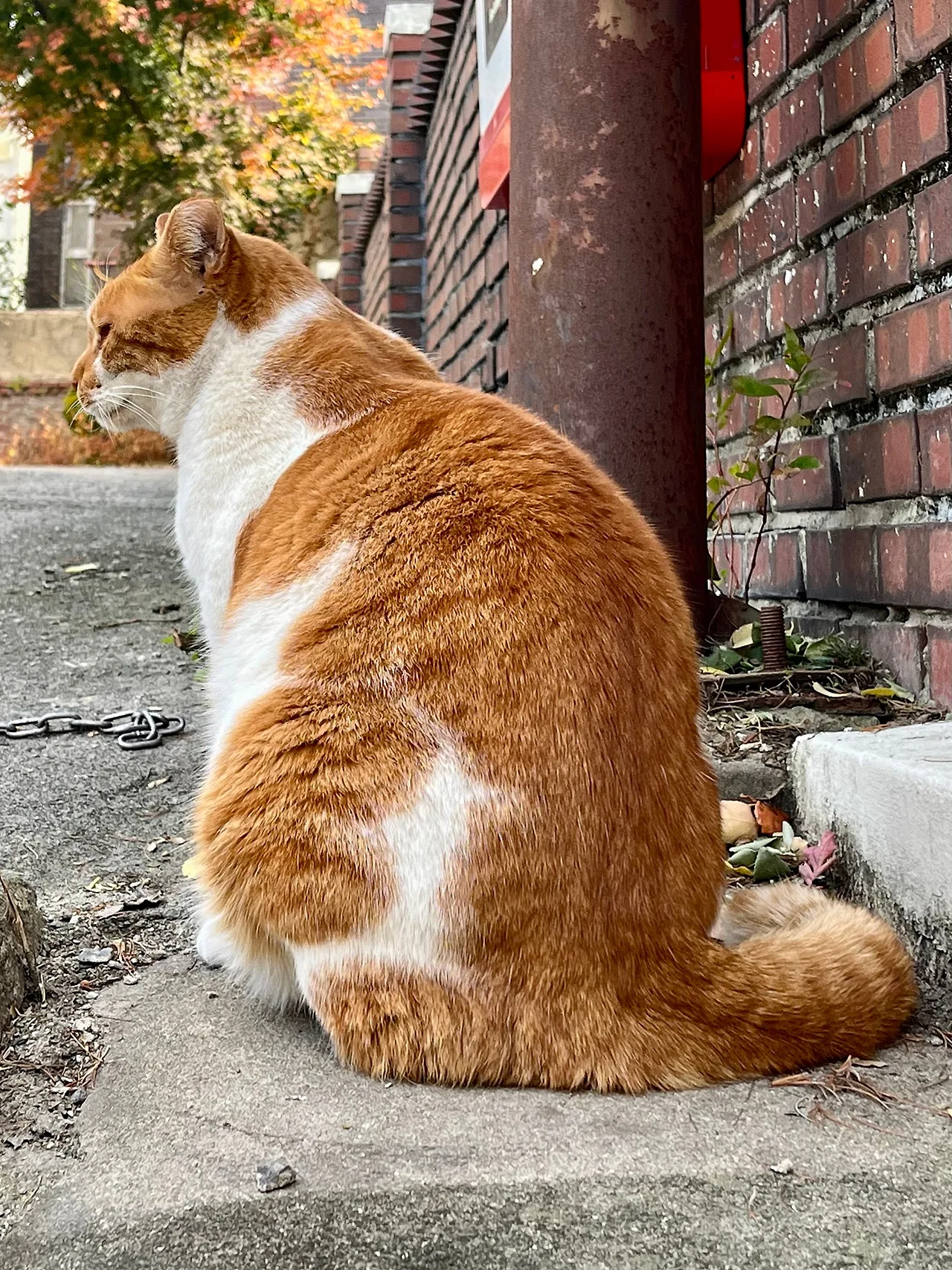 IMG%EF%BC%BF5046.jpg?type=w1600