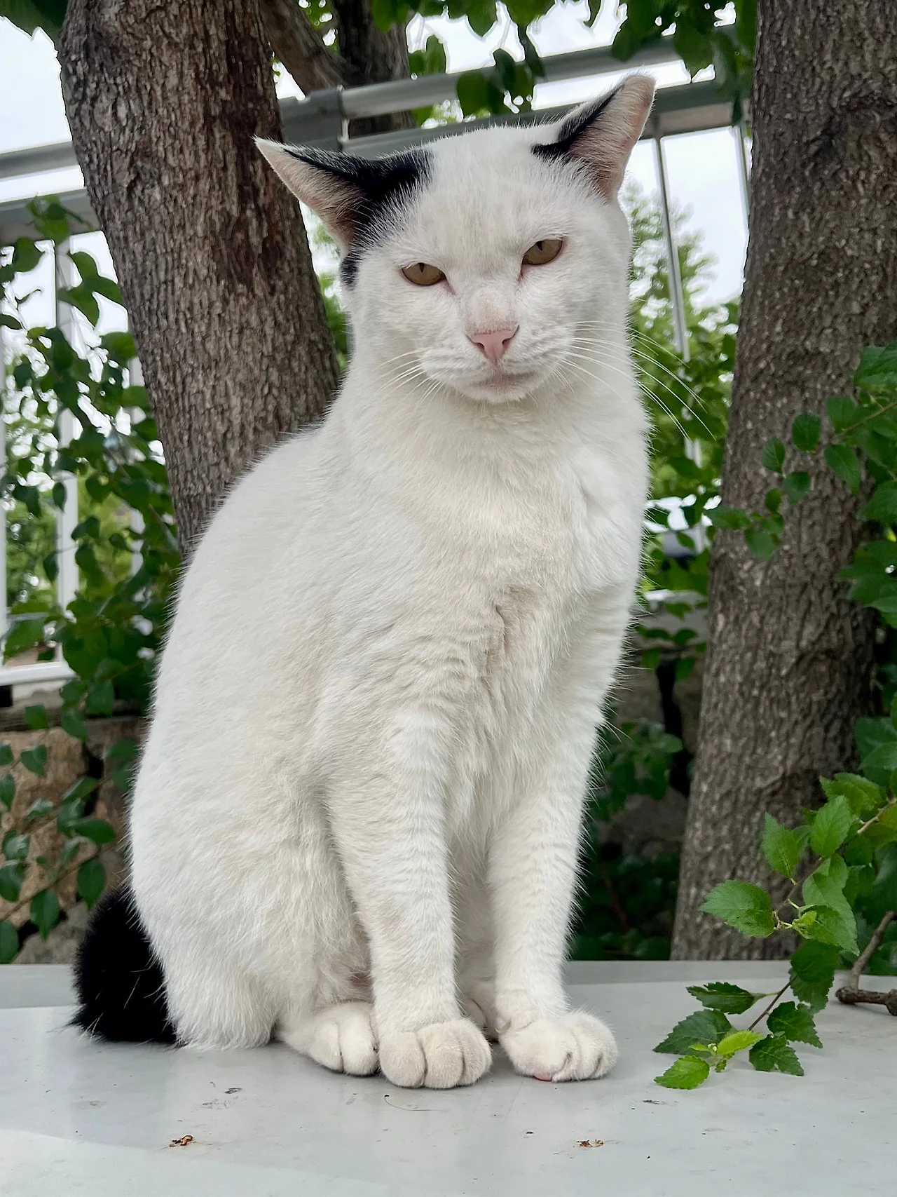 IMG%EF%BC%BF1779.jpg?type=w1600