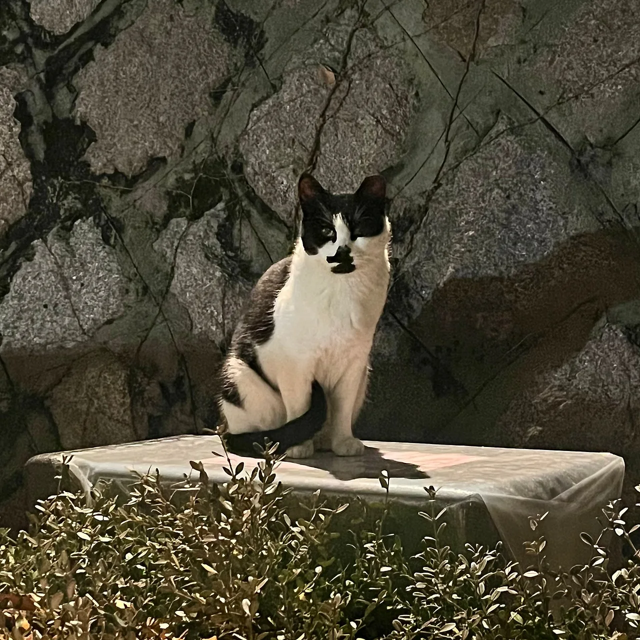 IMG%EF%BC%BF9770.jpg?type=w1600