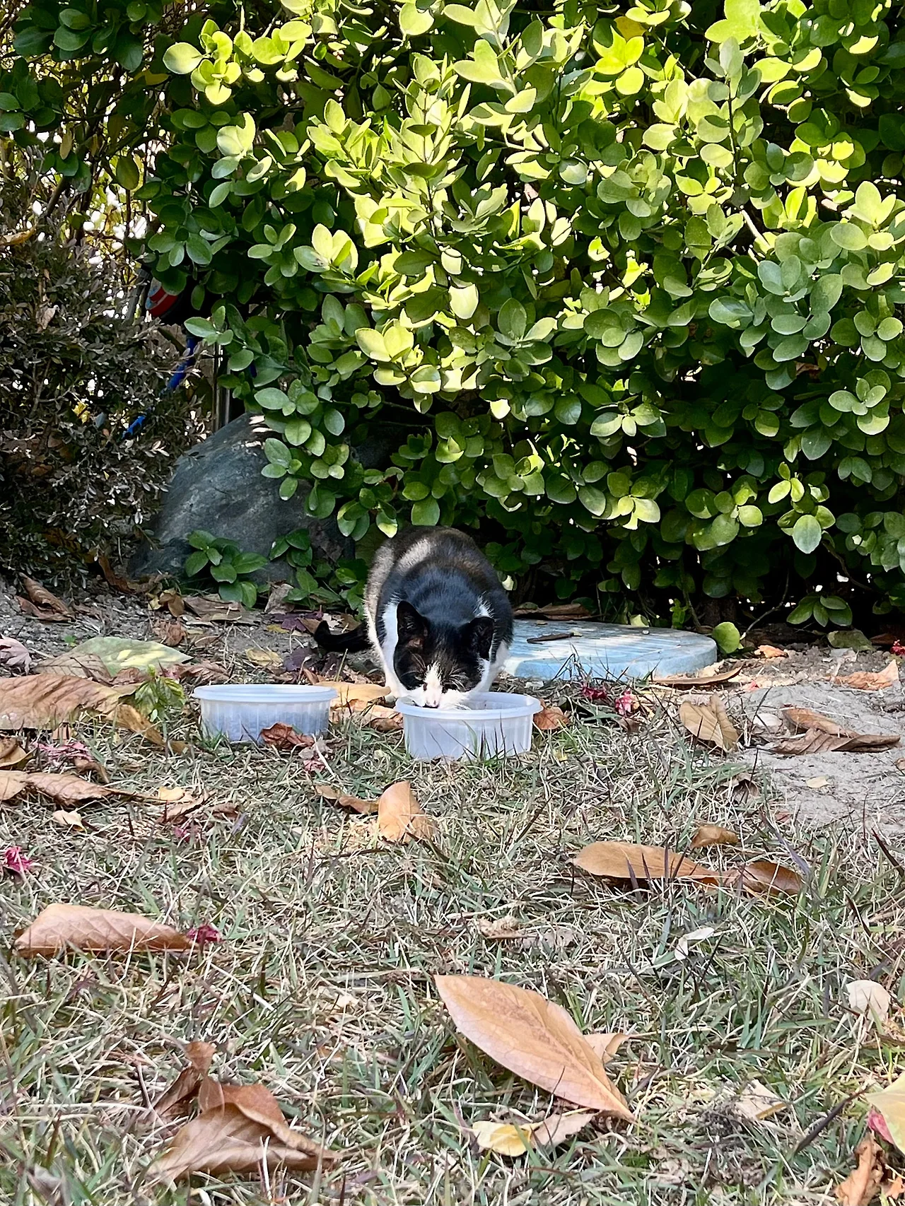 IMG%EF%BC%BF5700.jpg?type=w1600