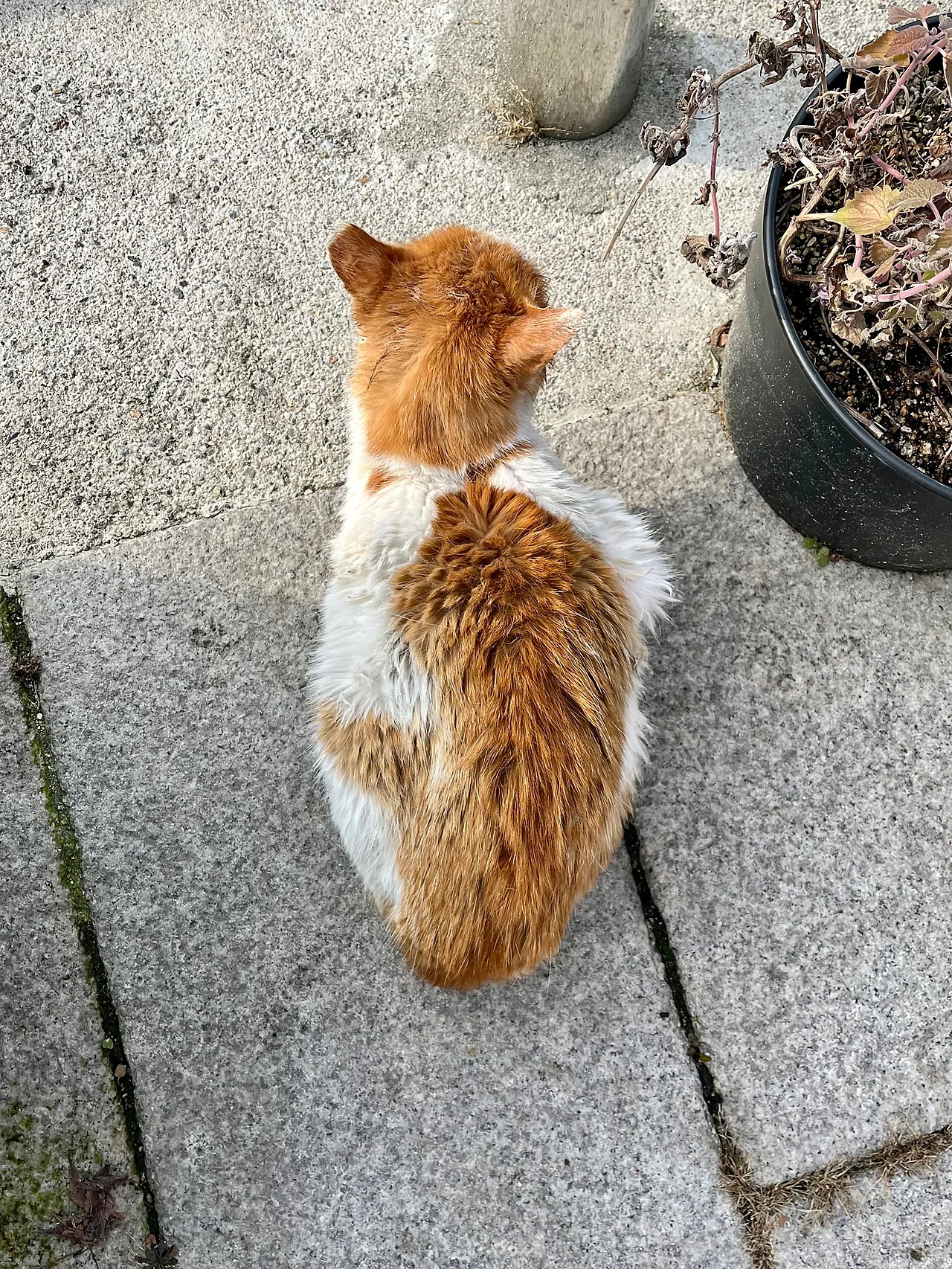 IMG%EF%BC%BF9205.jpg?type=w1600