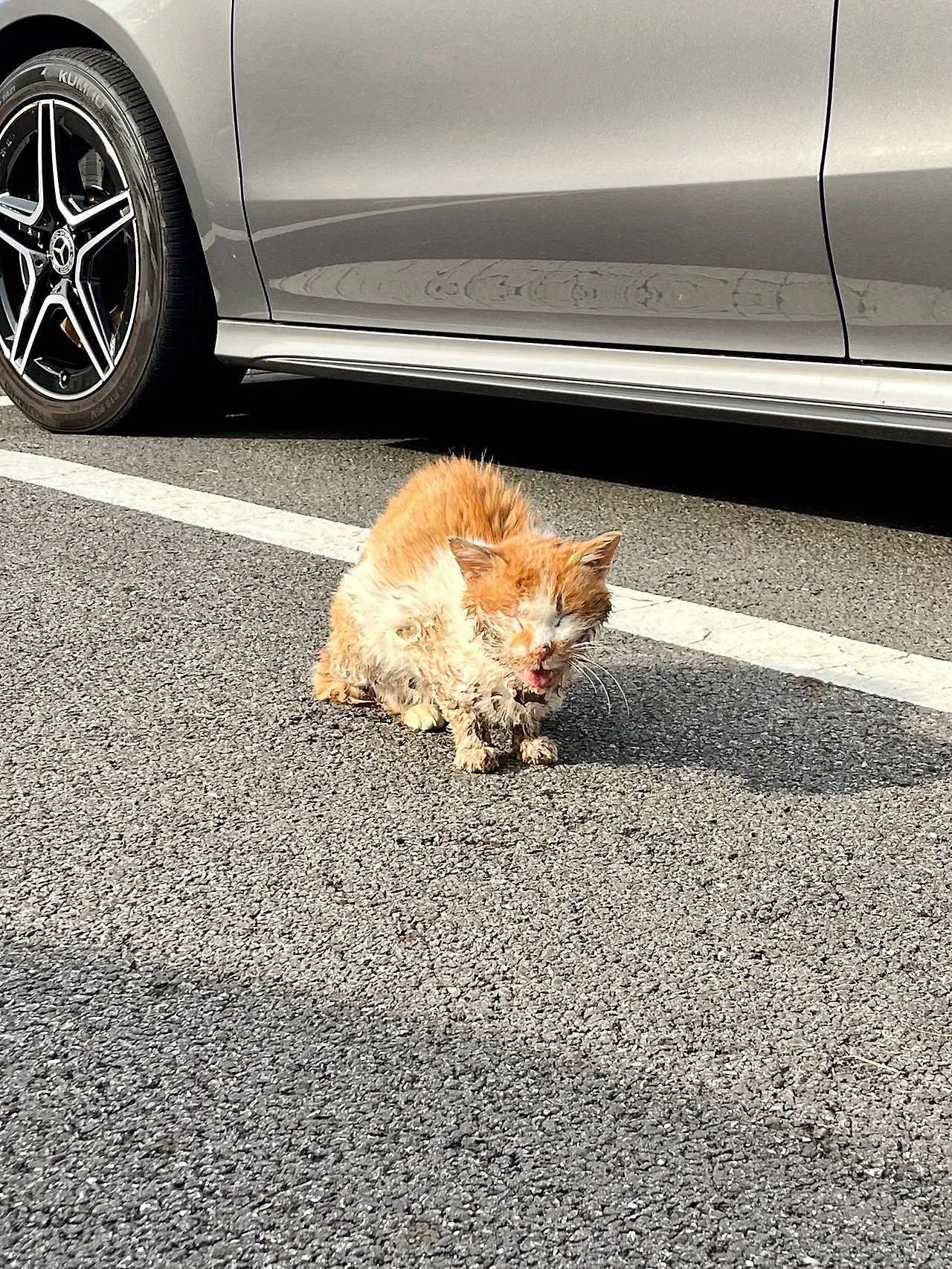 IMG%EF%BC%BF9190.jpg?type=w1600