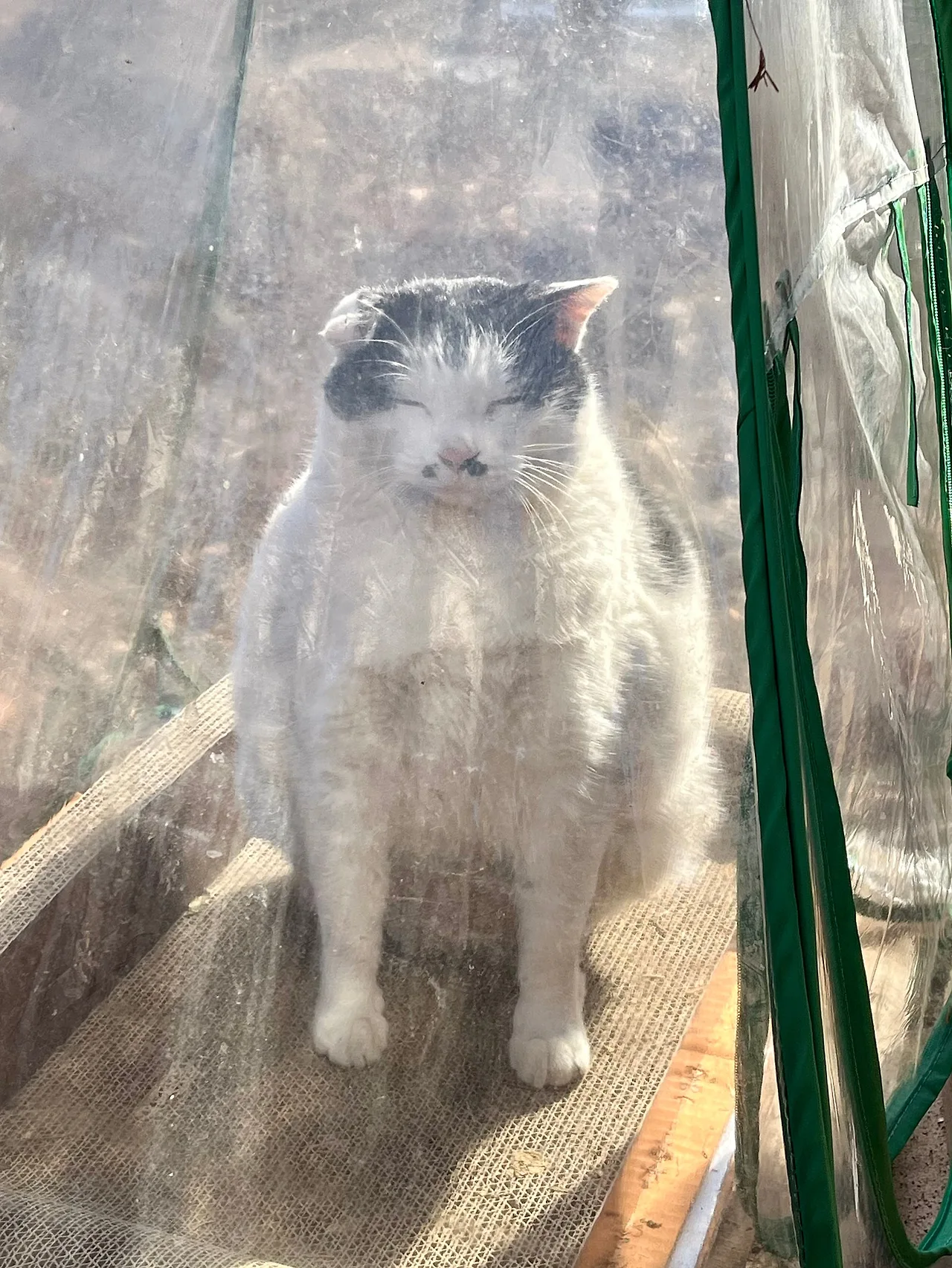 IMG%EF%BC%BF0977.jpg?type=w1600