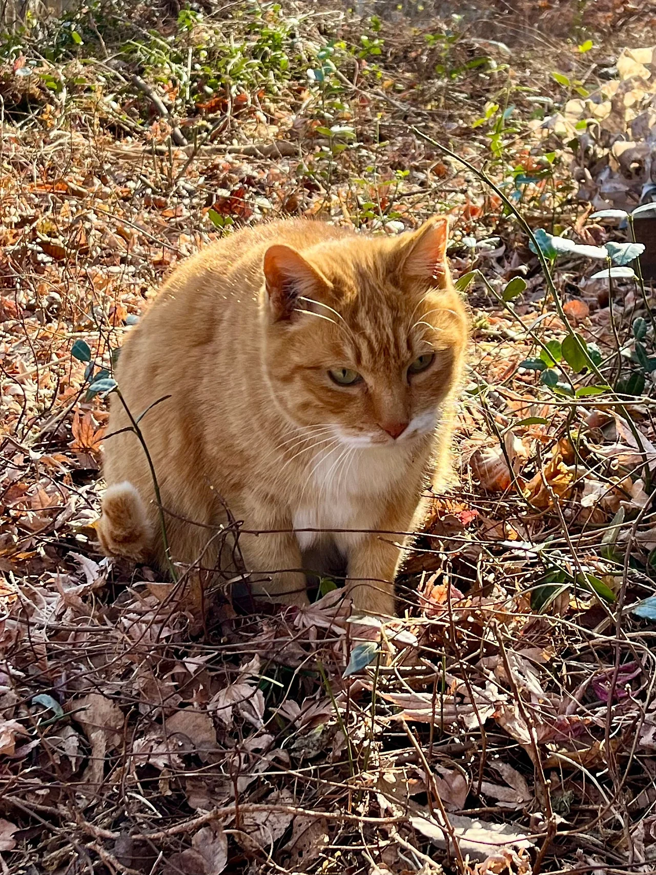 SE-017A5B40-C5AC-4315-9D6B-280F58CB9DA3.jpg?type=w1600