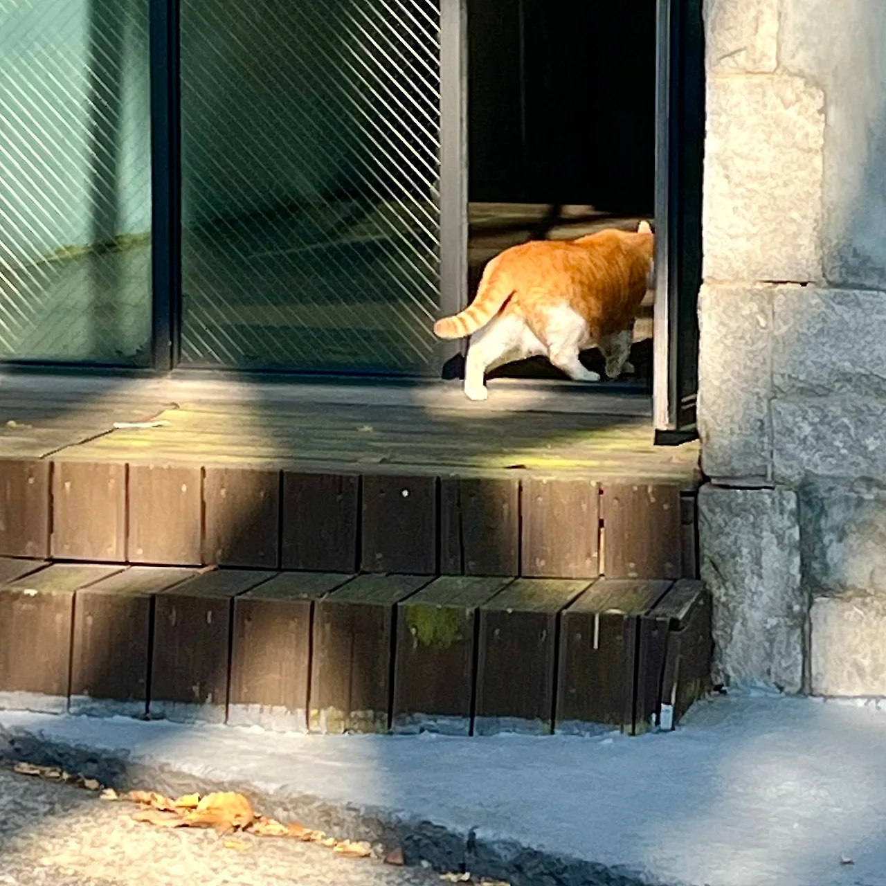 IMG%EF%BC%BF8964.jpg?type=w1600