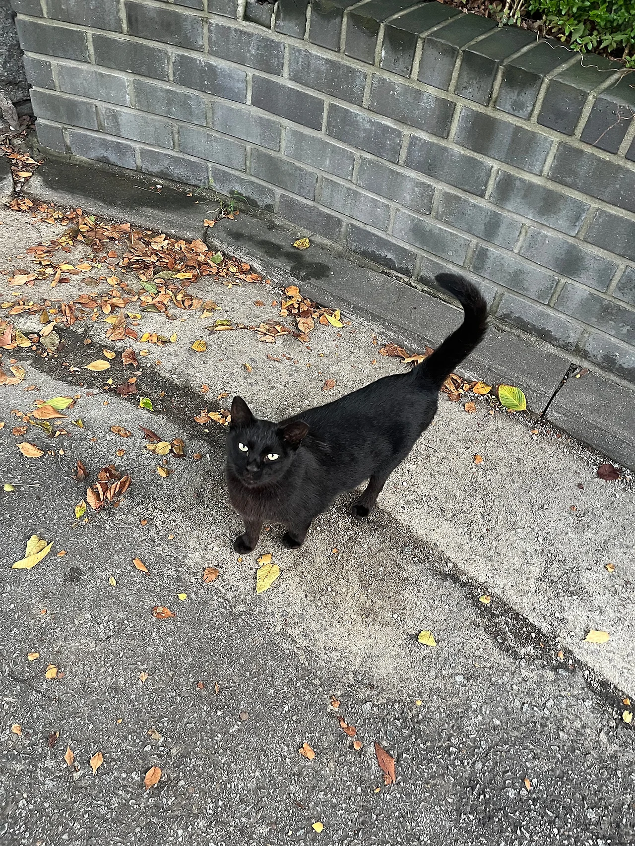 IMG%EF%BC%BF0555.jpg?type=w1600