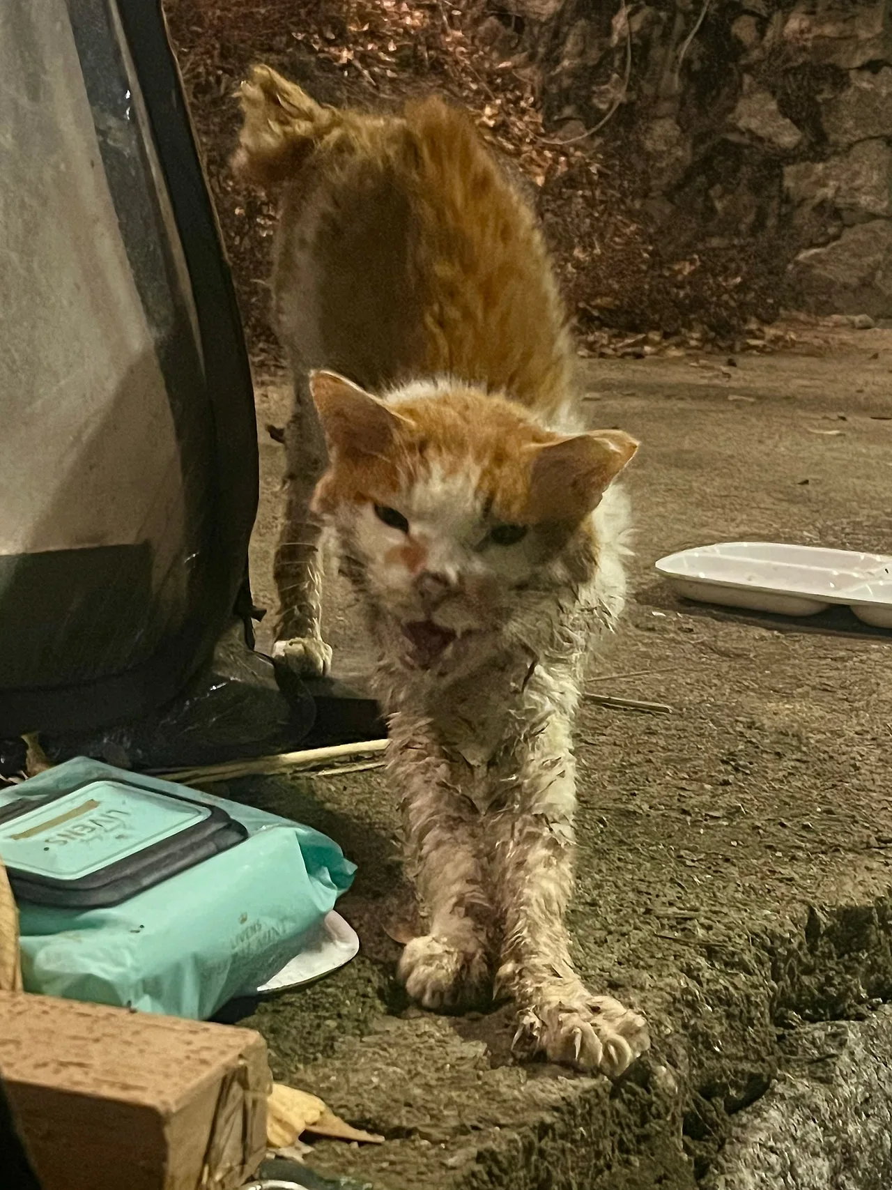 IMG%EF%BC%BF9752.jpg?type=w1600