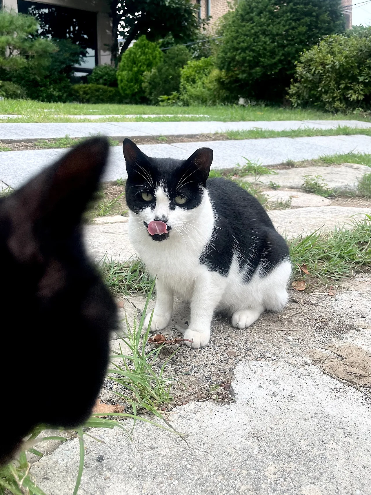 IMG%EF%BC%BF9915.jpg?type=w1600