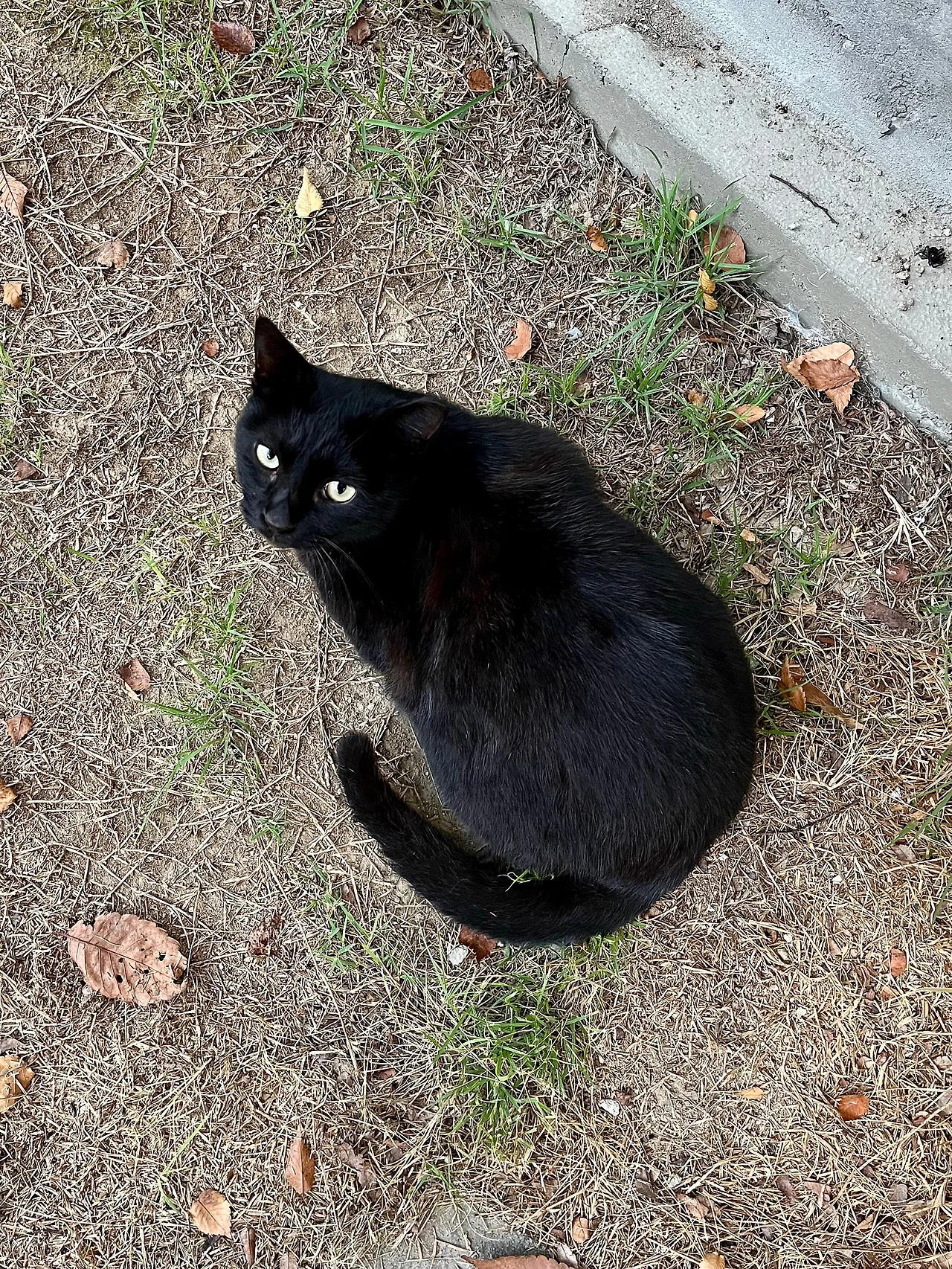 IMG%EF%BC%BF2973.jpg?type=w1600