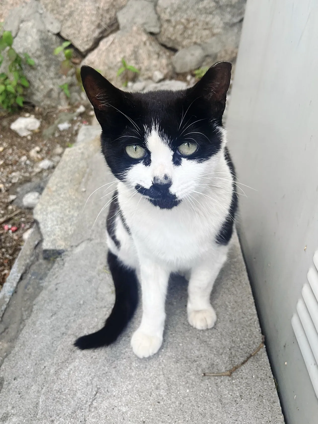 SE-d6b30804-855f-4933-bba0-22410cd66363.jpg?type=w1600