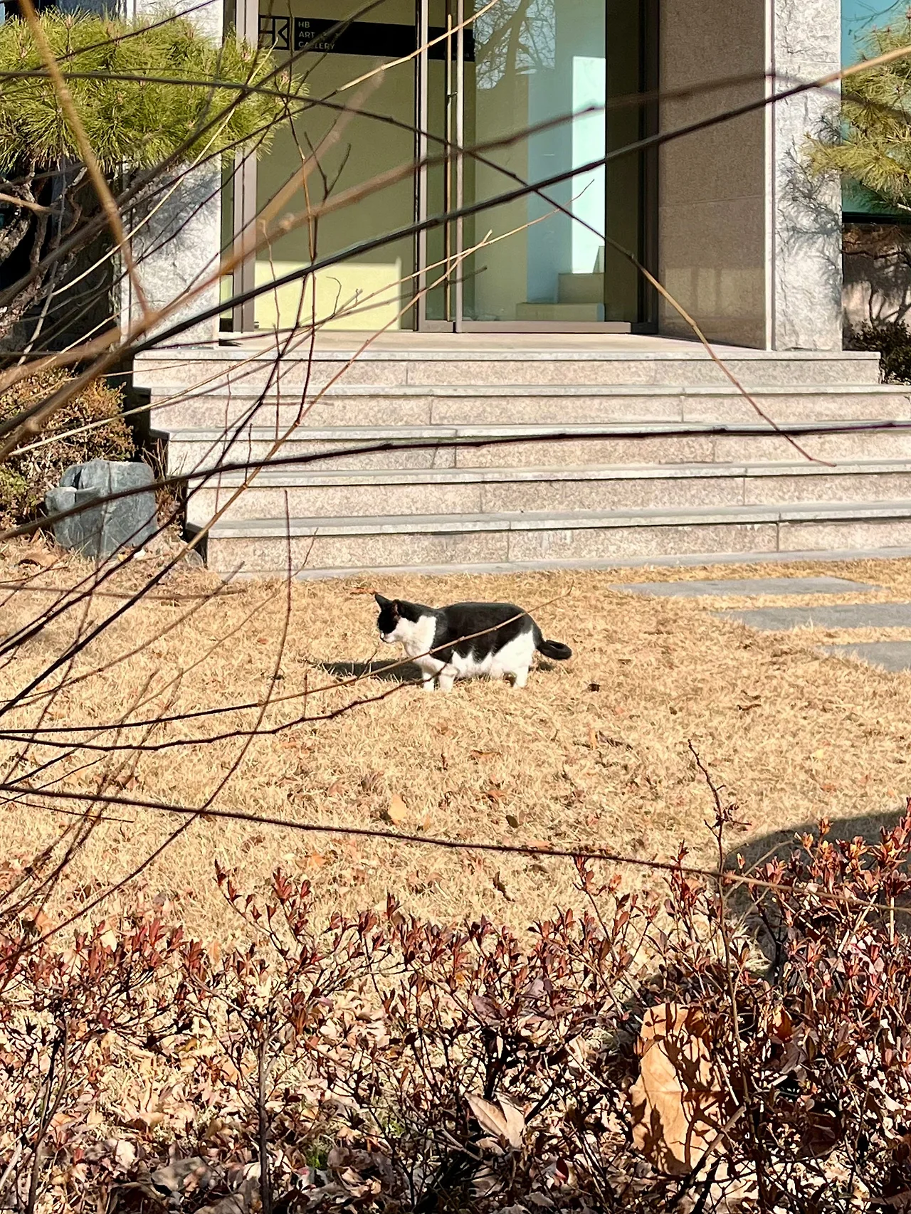 IMG%EF%BC%BF0736.jpg?type=w1600