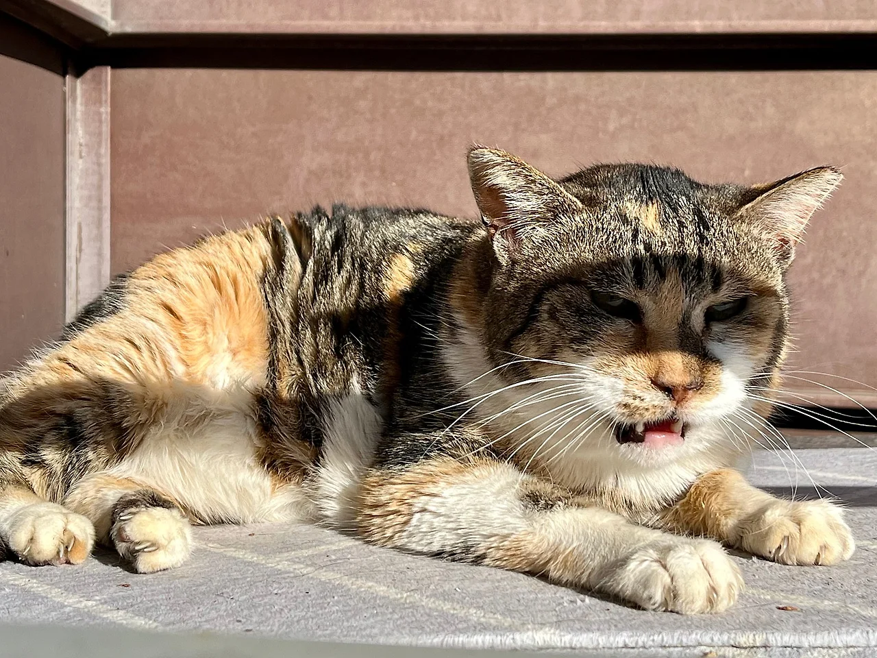 IMG%EF%BC%BF1030.jpg?type=w1600