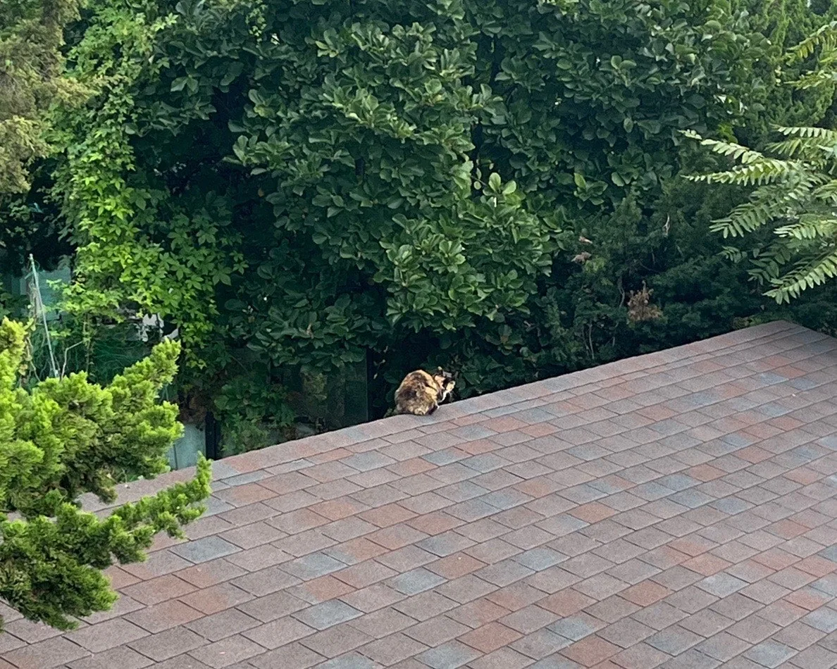 output%EF%BC%BF2653615624.jpg?type=w1600