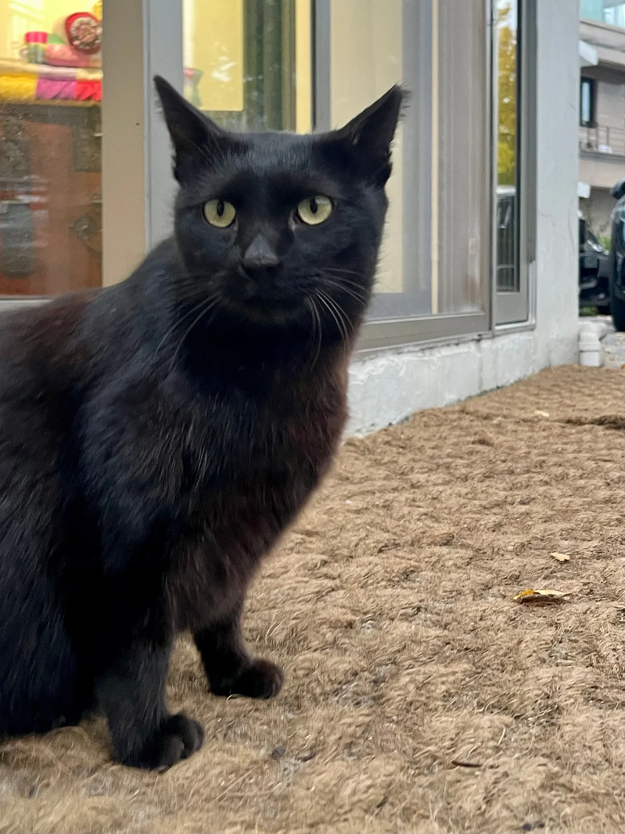 IMG%EF%BC%BF4345.jpg?type=w1600