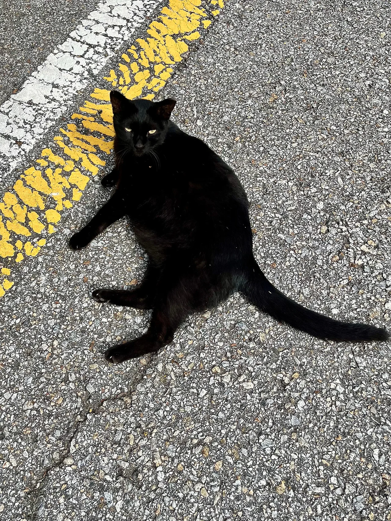 IMG%EF%BC%BF1446.jpg?type=w1600