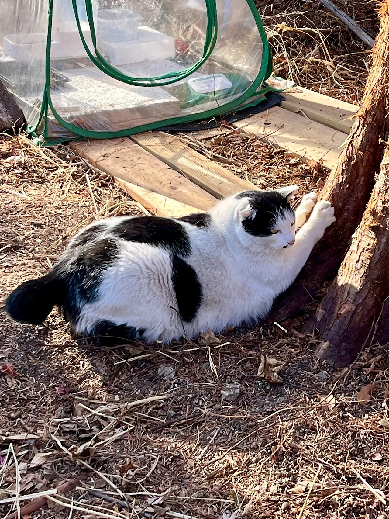 IMG%EF%BC%BF1007.jpg?type=w1600