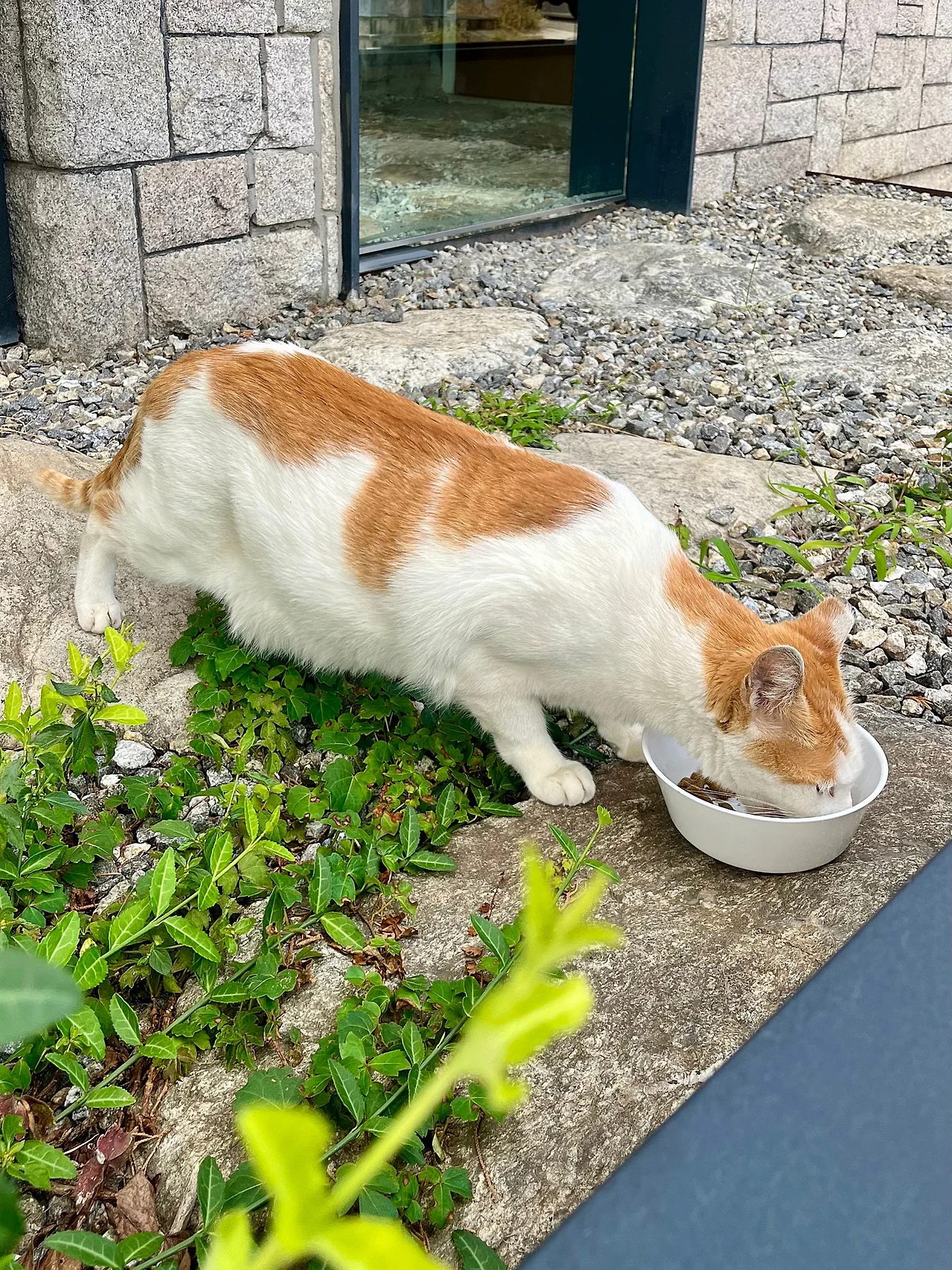 IMG%EF%BC%BF1915.jpg?type=w1600