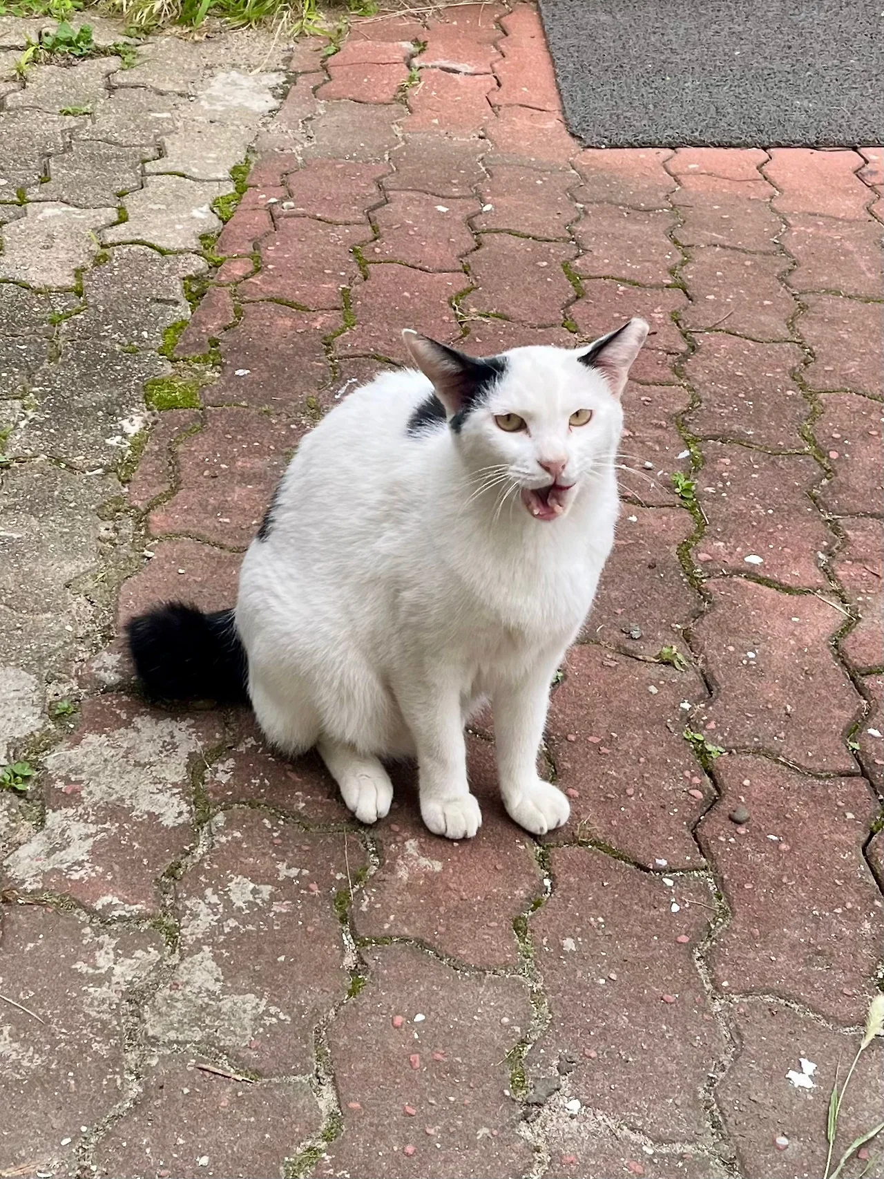 IMG%EF%BC%BF1115.jpg?type=w1600