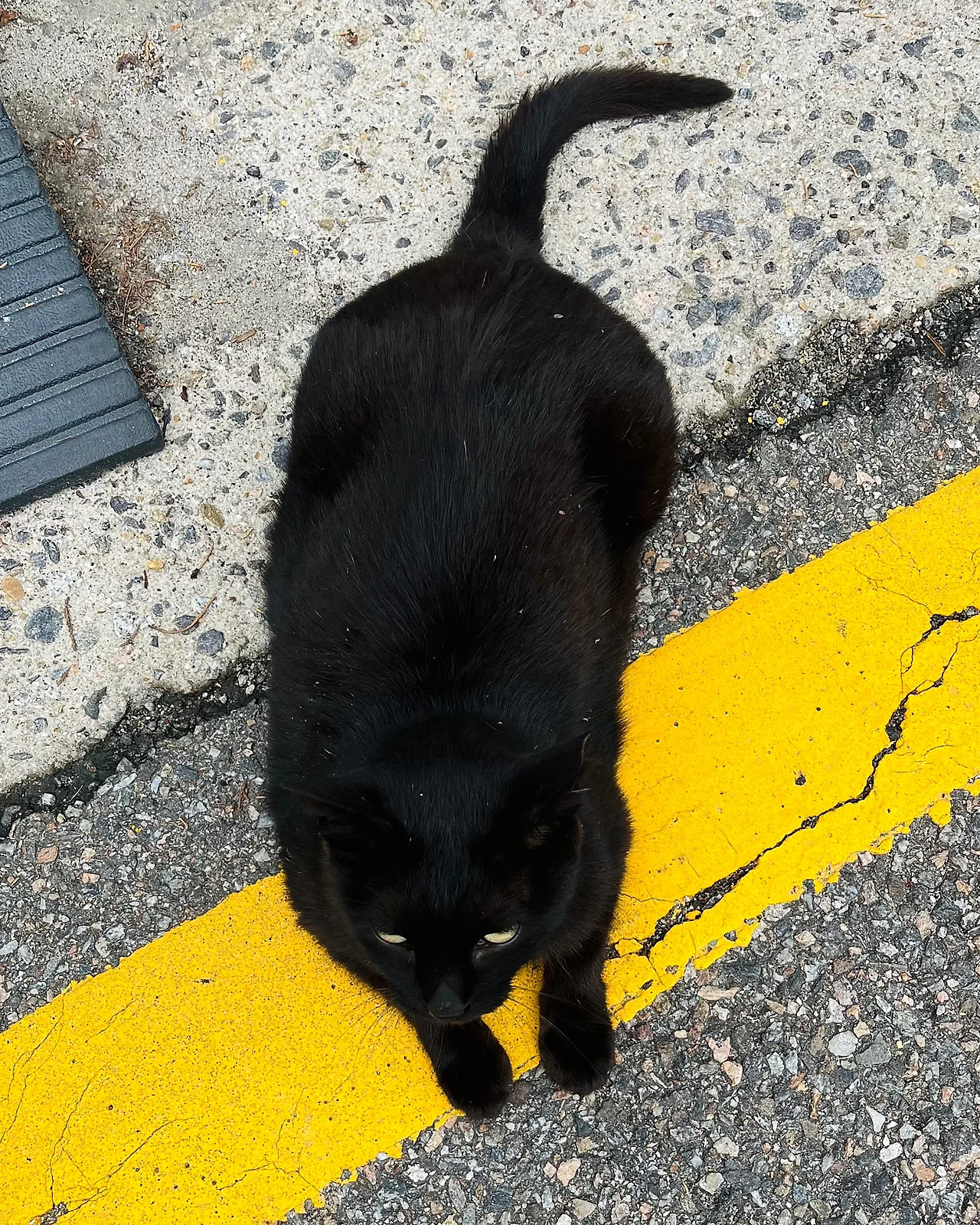 IMG%EF%BC%BF6857.jpg?type=w1600