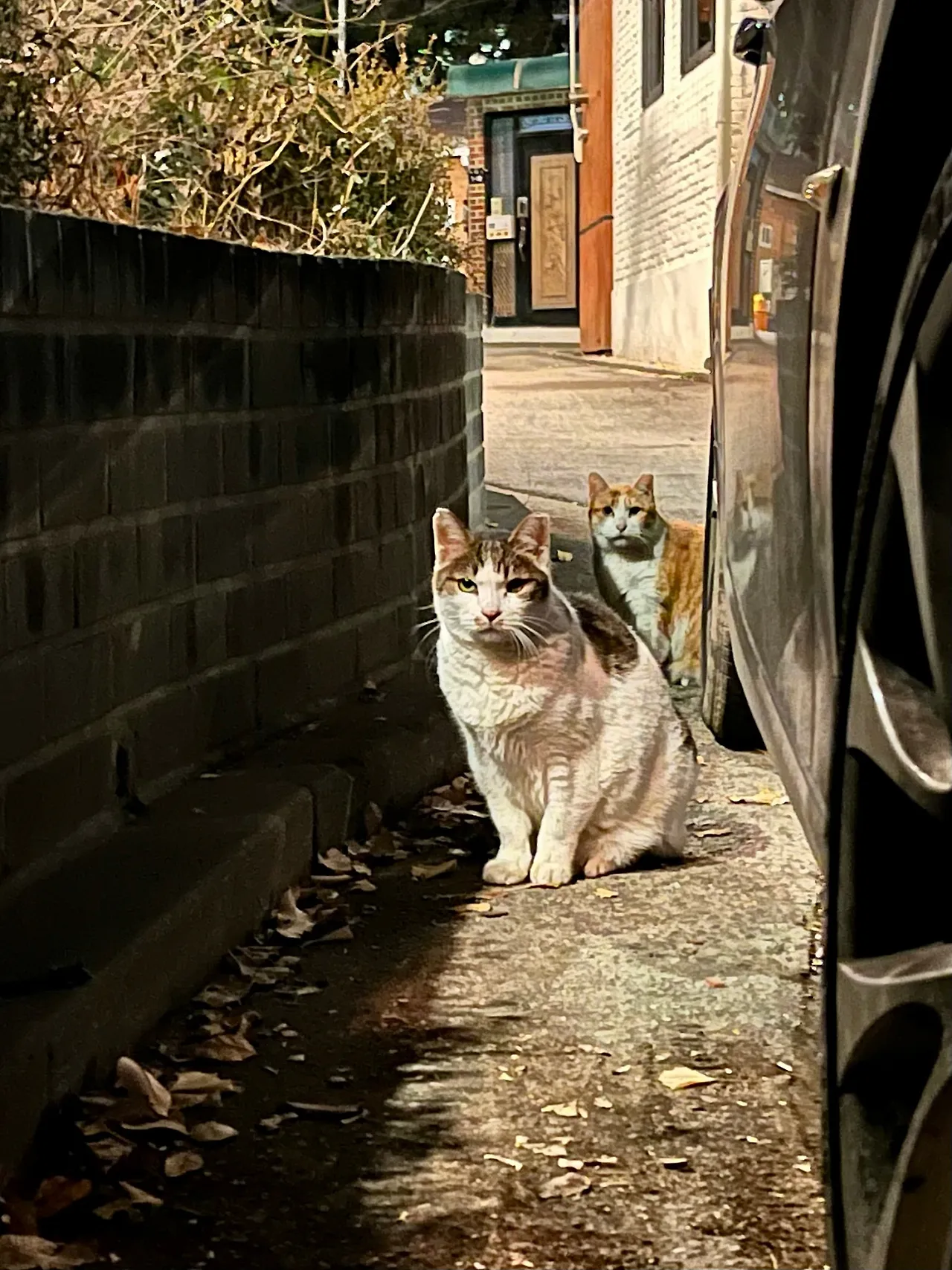 IMG%EF%BC%BF9261.jpg?type=w1600