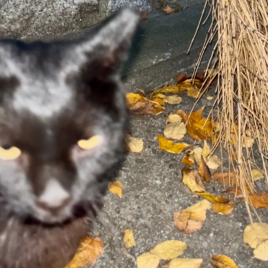 IMG%EF%BC%BF3544.jpg?type=w1600