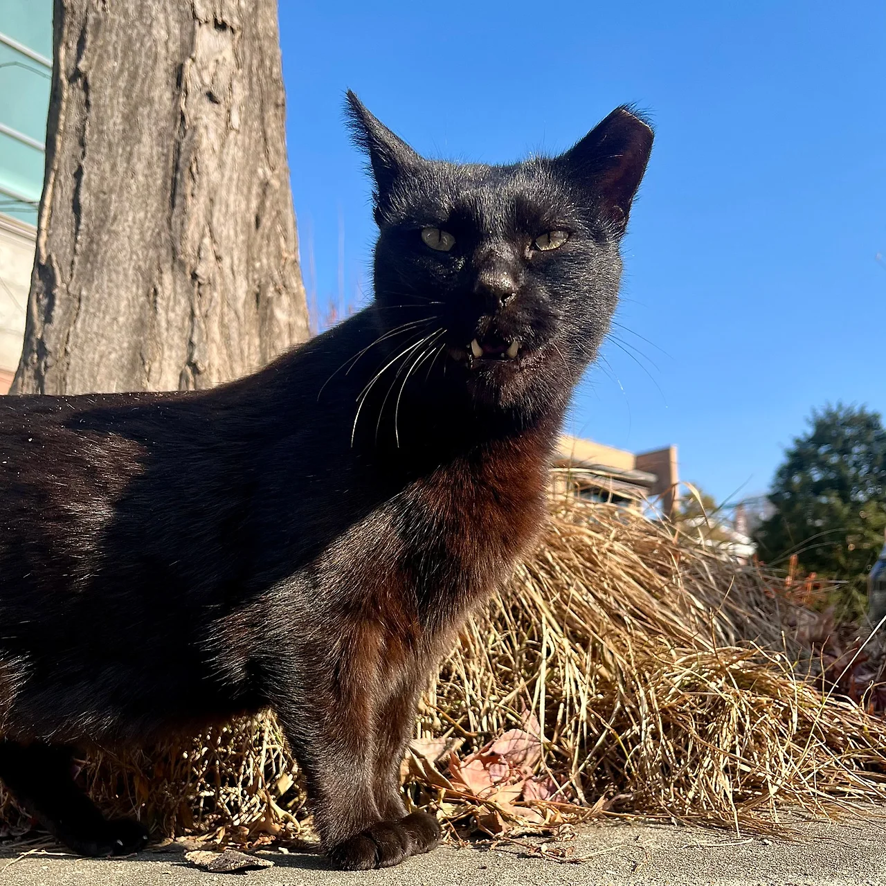 IMG%EF%BC%BF9575.jpg?type=w1600