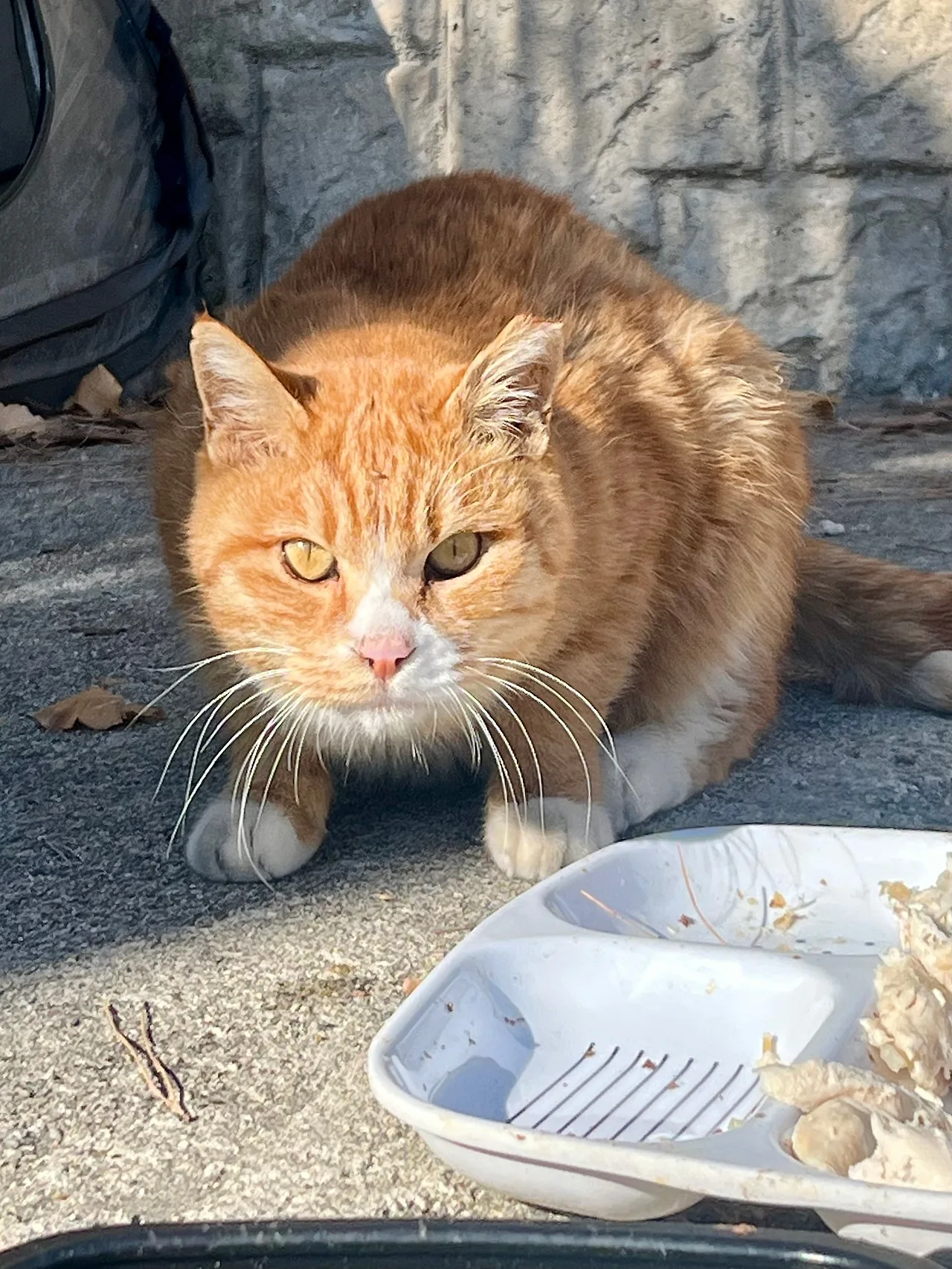 IMG%EF%BC%BF0951.jpg?type=w1600