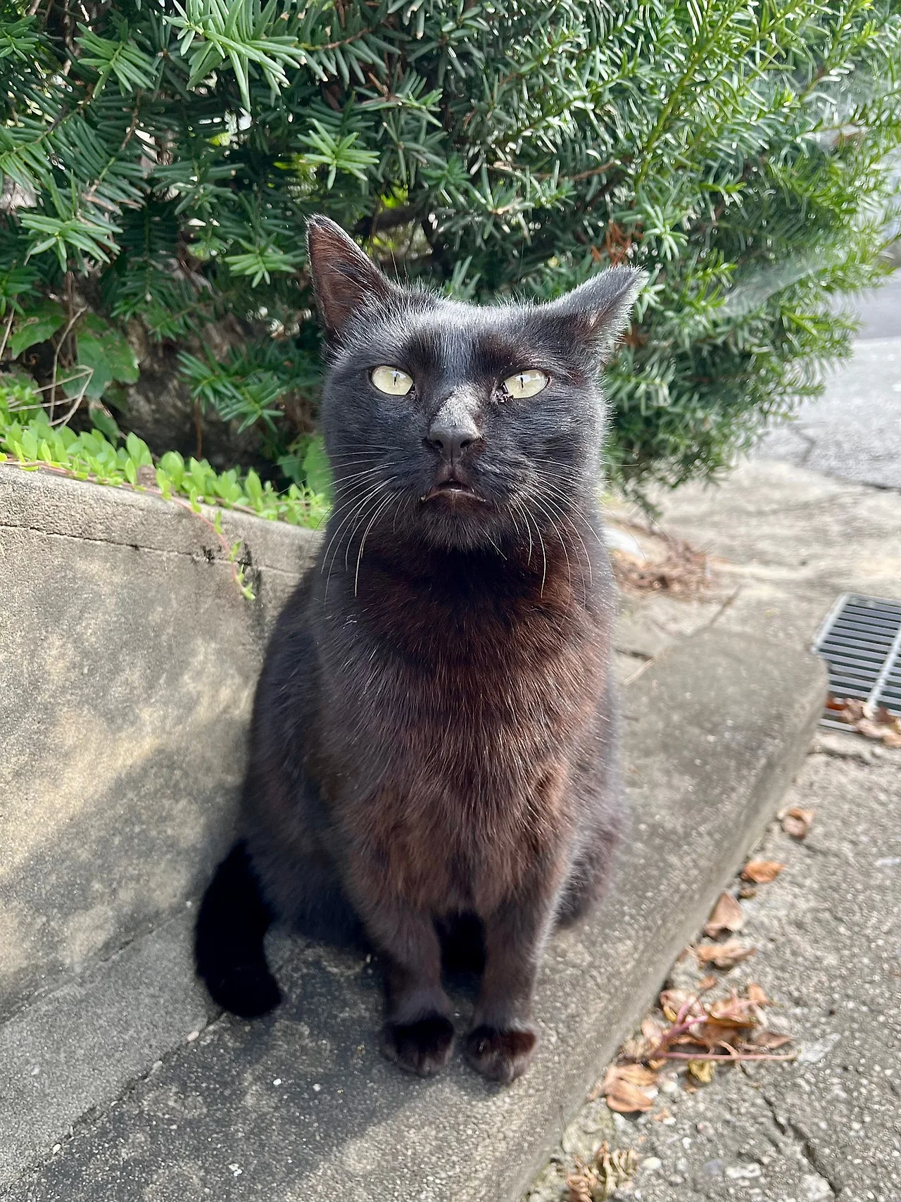 IMG%EF%BC%BF3604.jpg?type=w1600