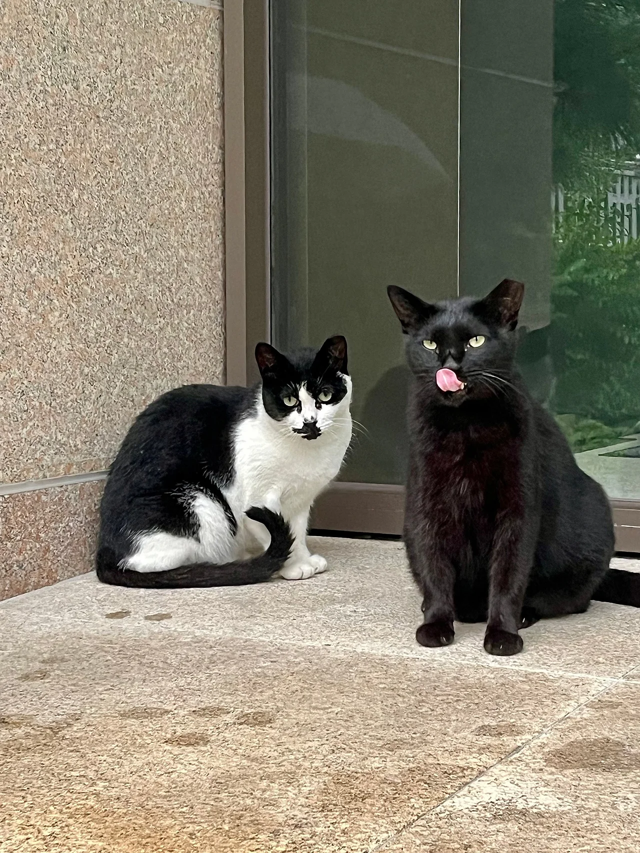 IMG%EF%BC%BF0840.jpg?type=w1600