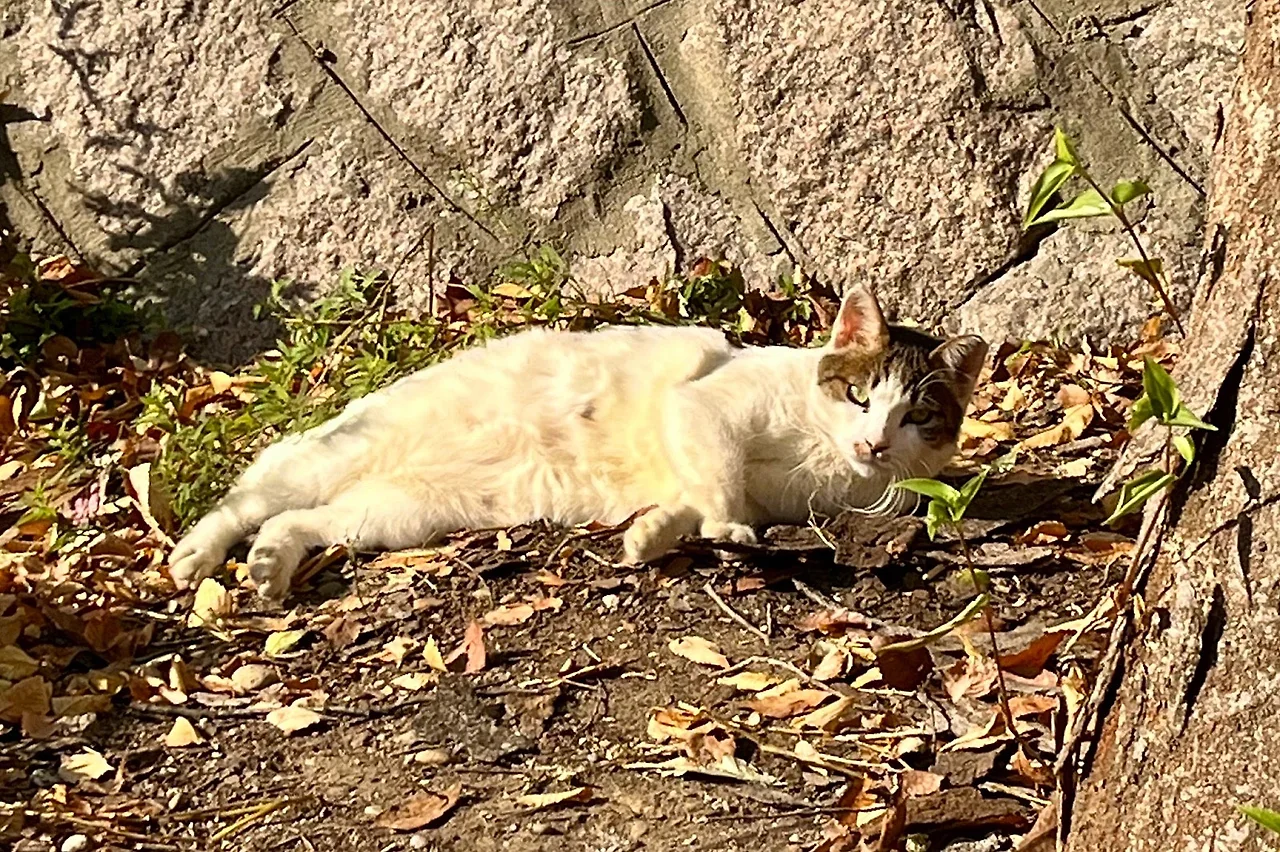 output%EF%BC%BF2838677384.jpg?type=w1600