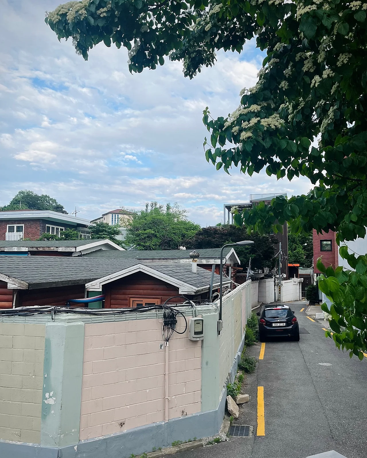 IMG_4769.jpg?type=w1600