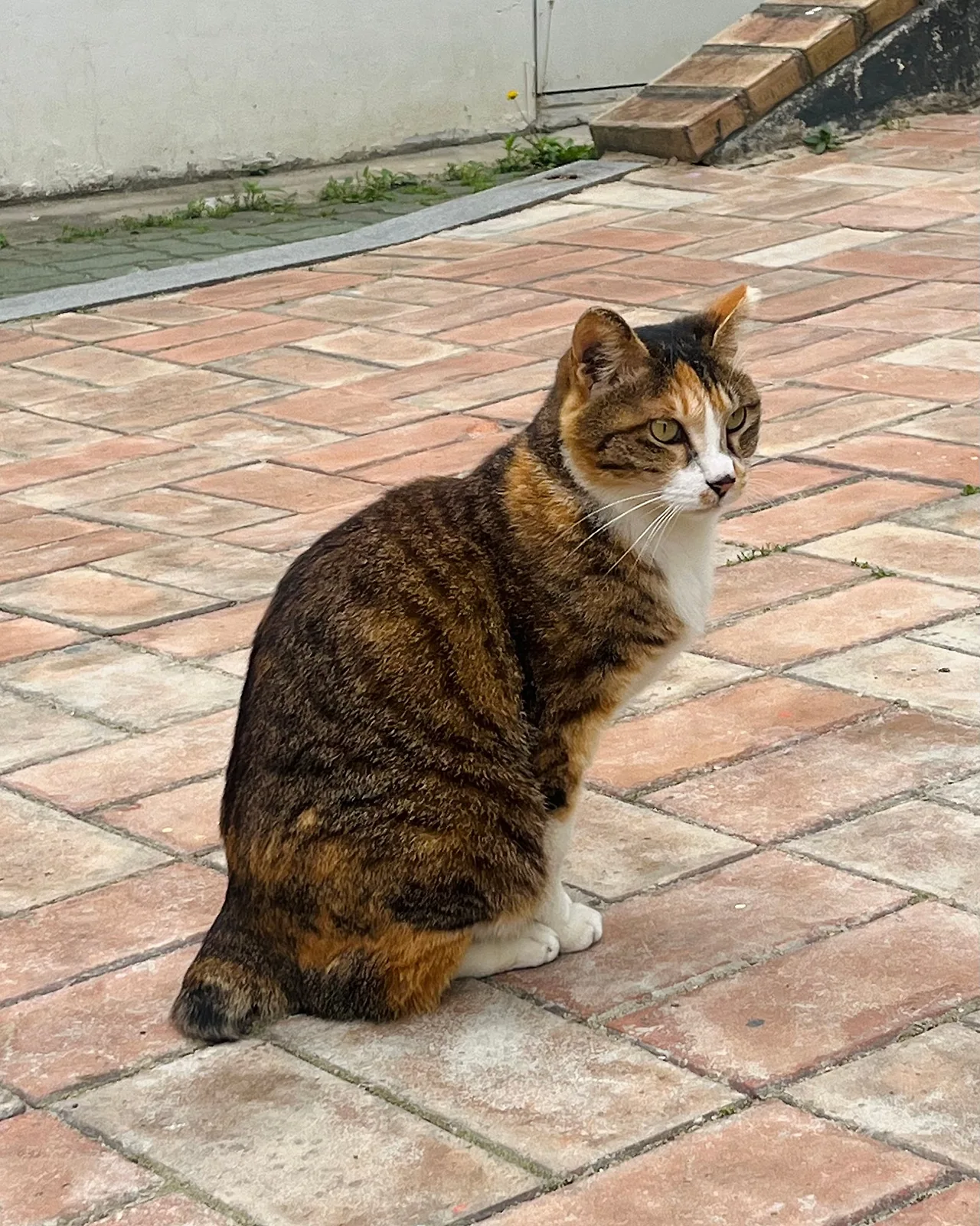 IMG%EF%BC%BF5474.jpg?type=w1600