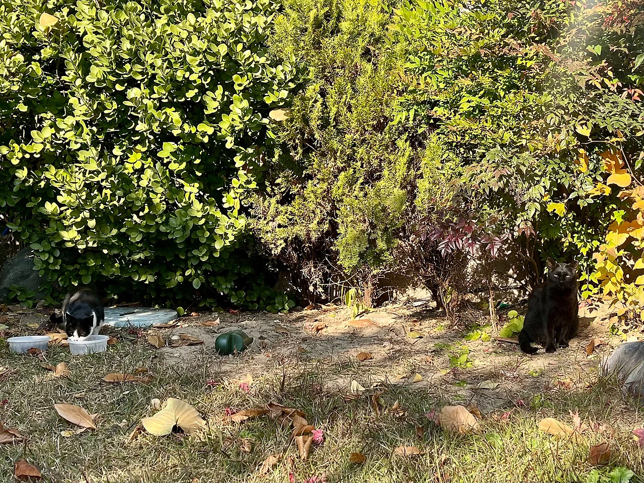 IMG%EF%BC%BF5695.jpg?type=w1600