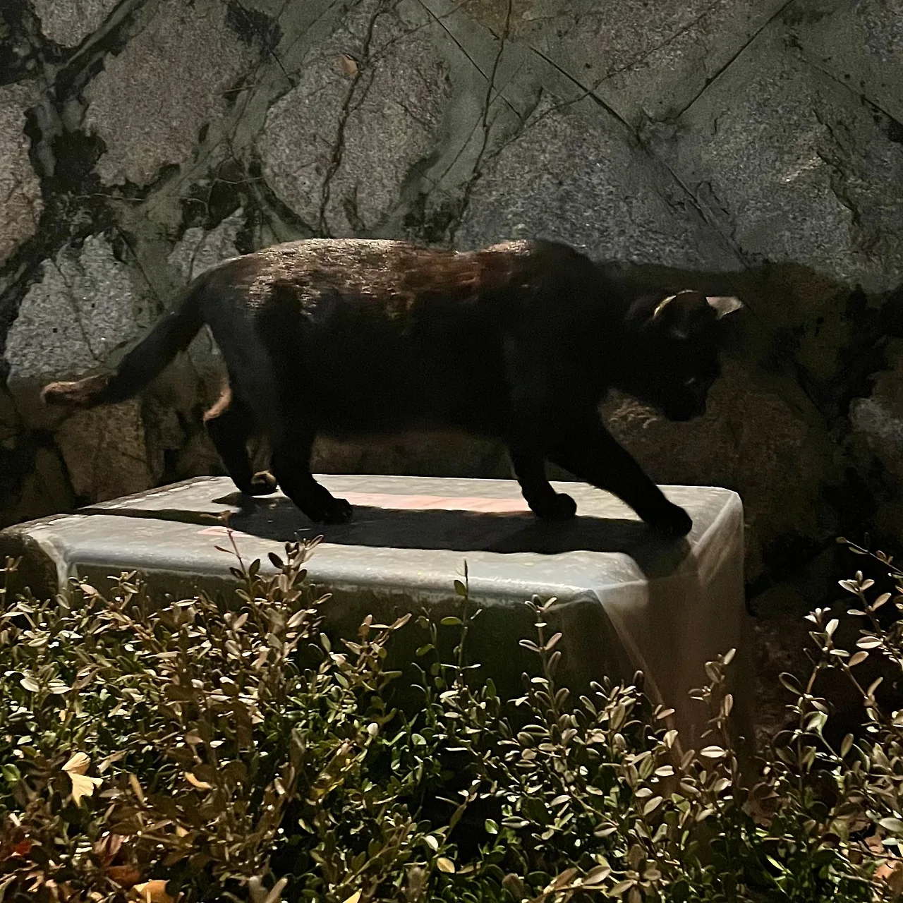 IMG%EF%BC%BF9787.jpg?type=w1600