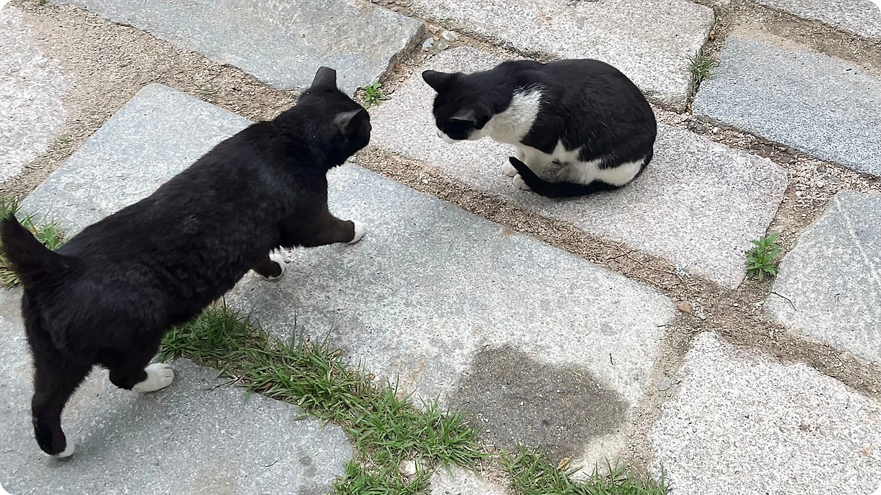 IMG_4652.jpg?type=w1600