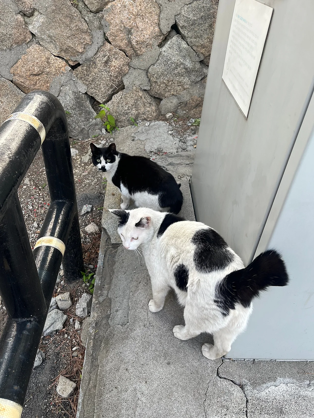 IMG%EF%BC%BF4017.jpg?type=w1600