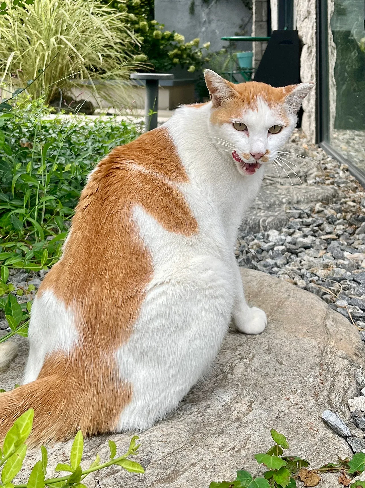 IMG%EF%BC%BF1944.jpg?type=w1600