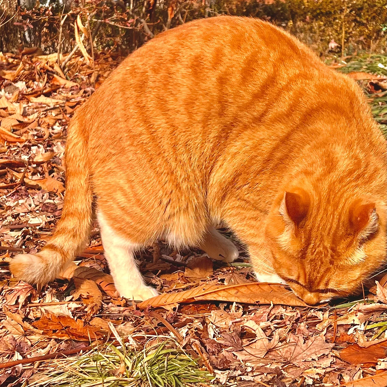 IMG%EF%BC%BF9916.jpg?type=w1600