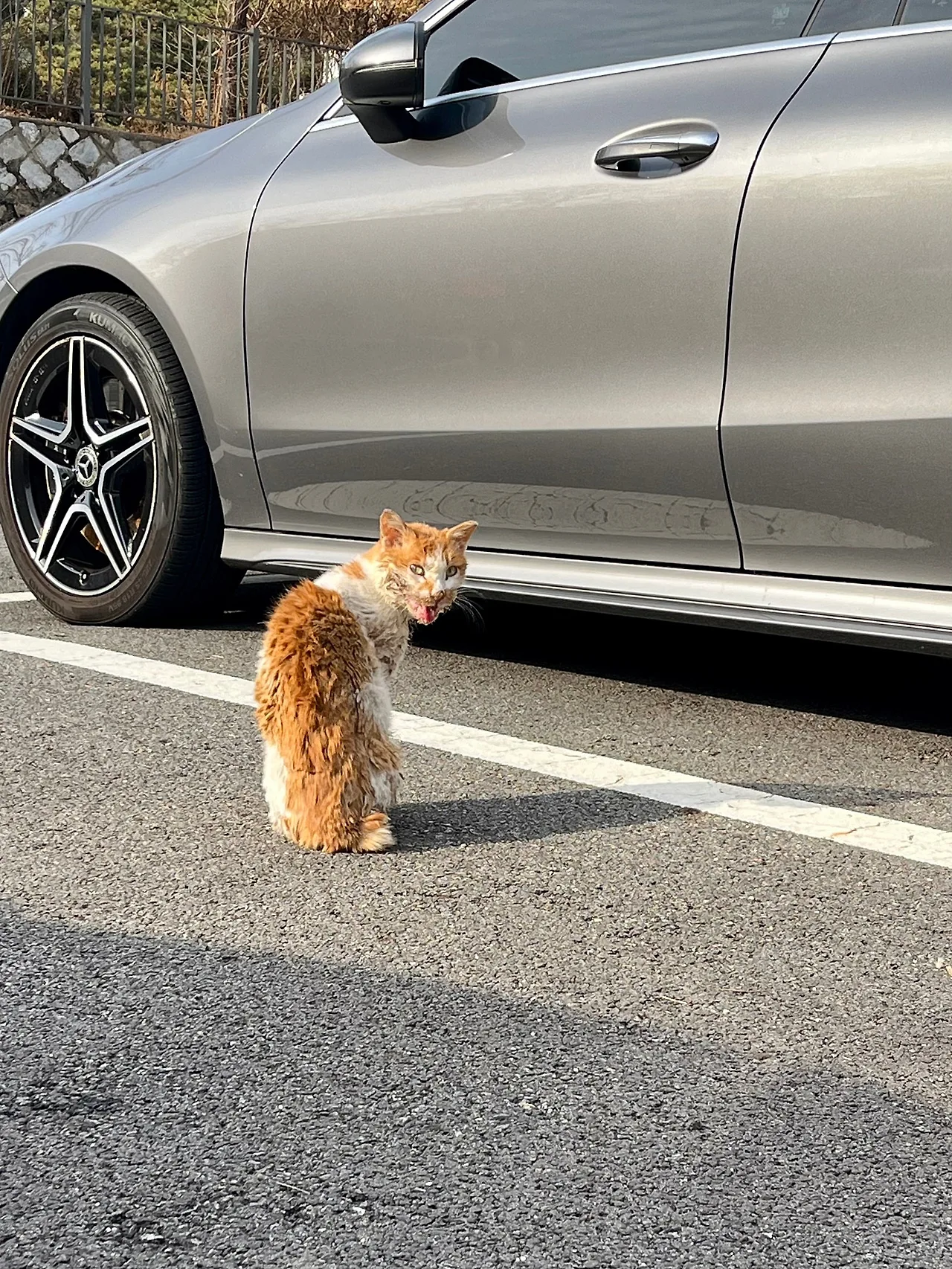 IMG%EF%BC%BF9186.jpg?type=w1600